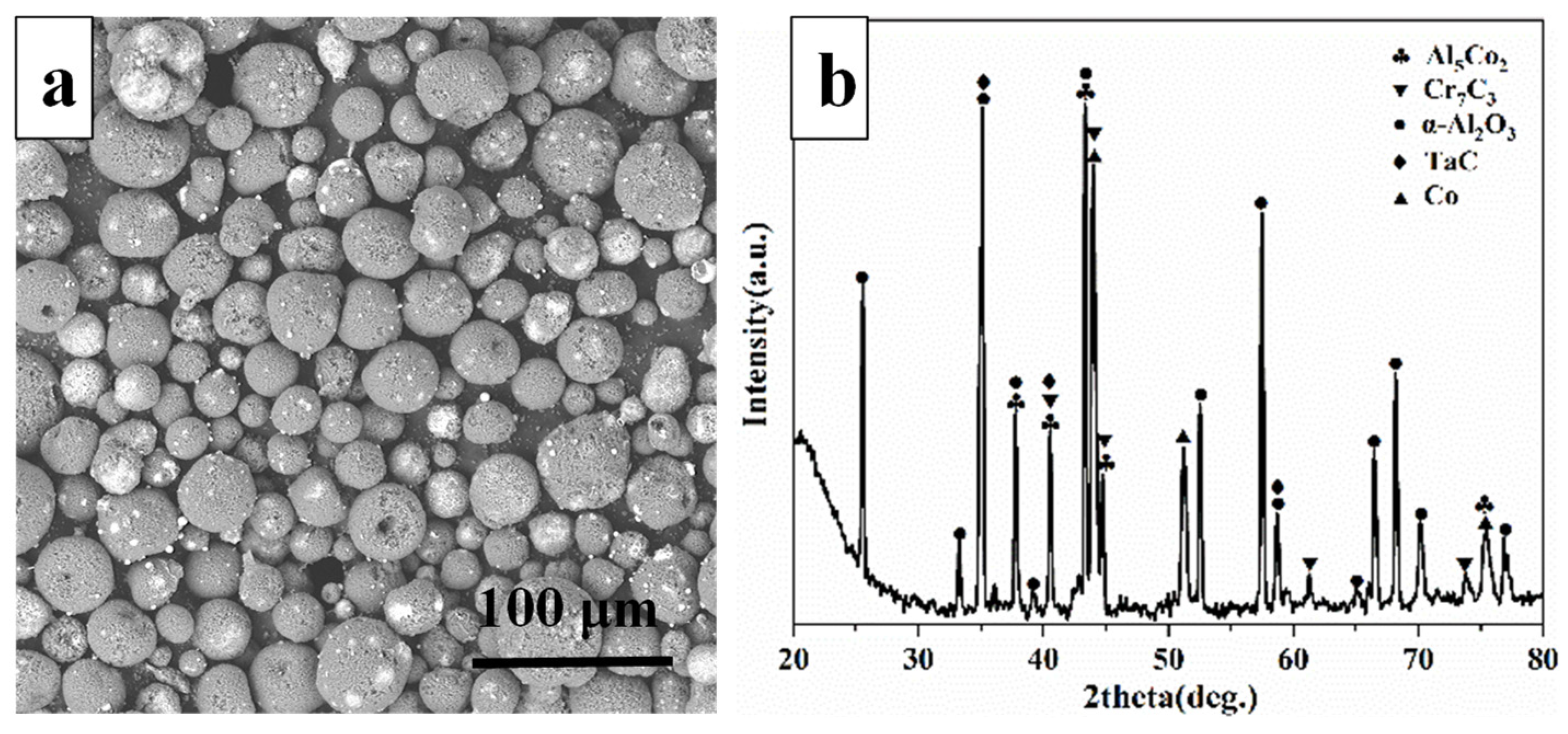 Coatings 12 00743 g001