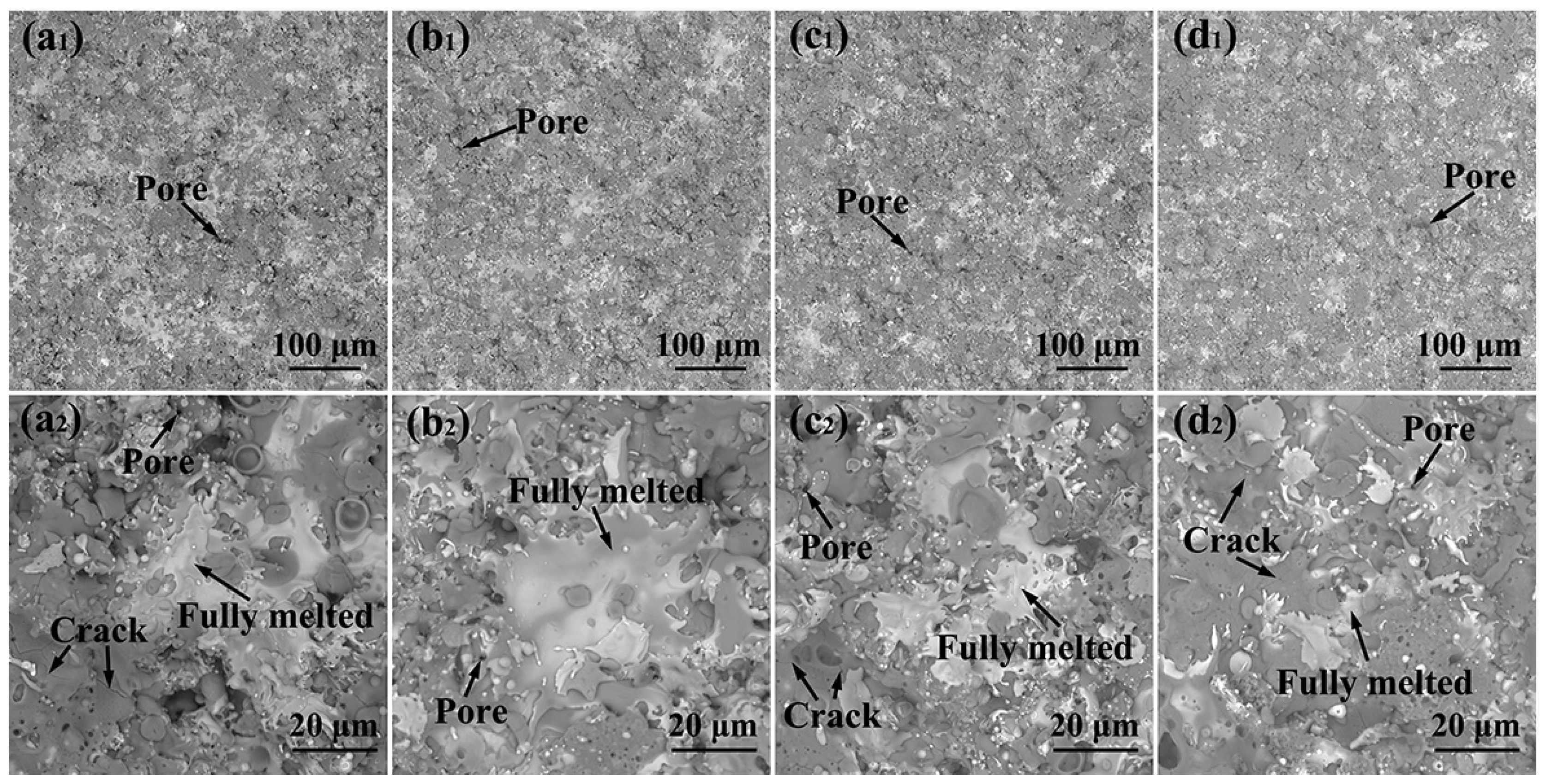 Coatings 12 00743 g002
