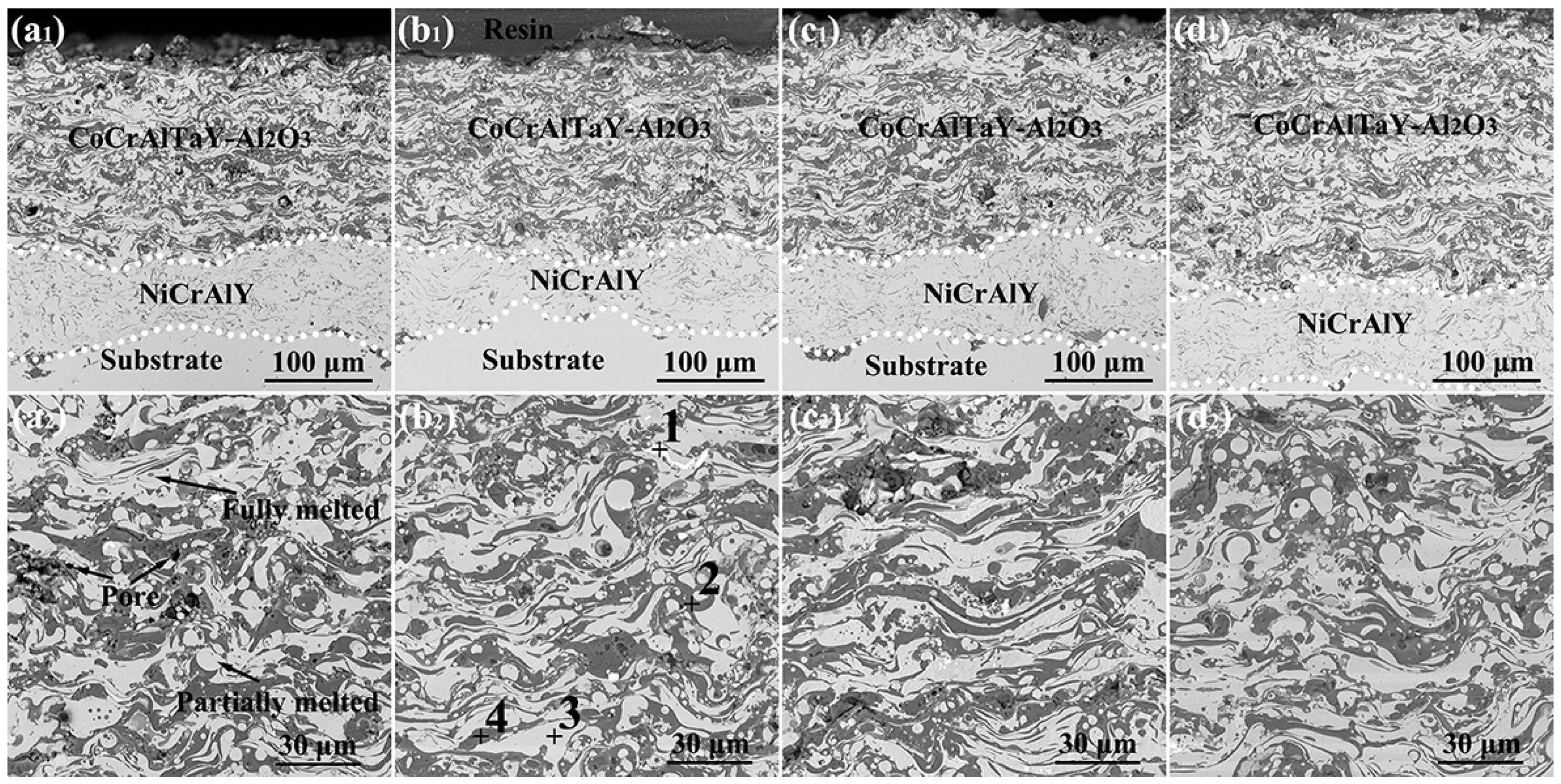 Coatings 12 00743 g003