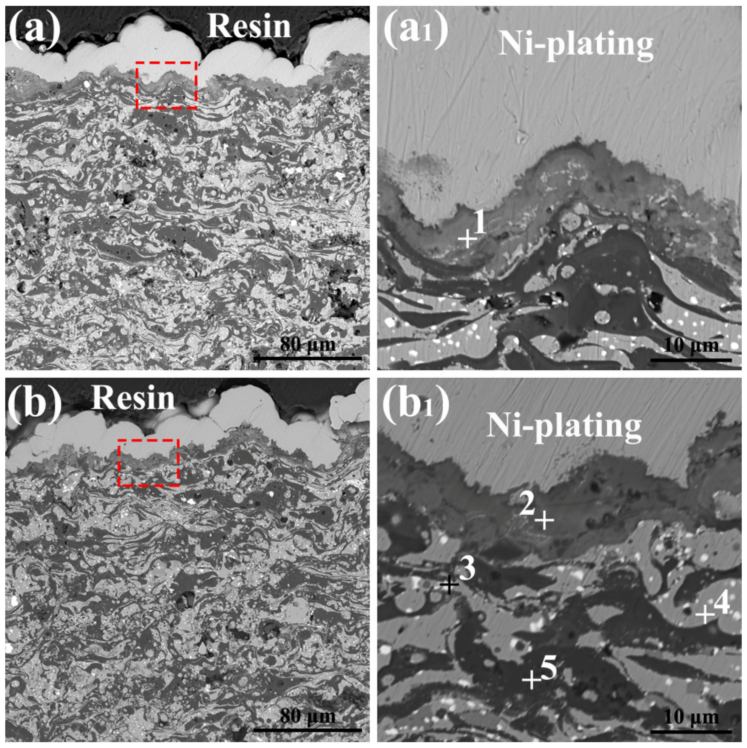 Coatings 12 00743 g006