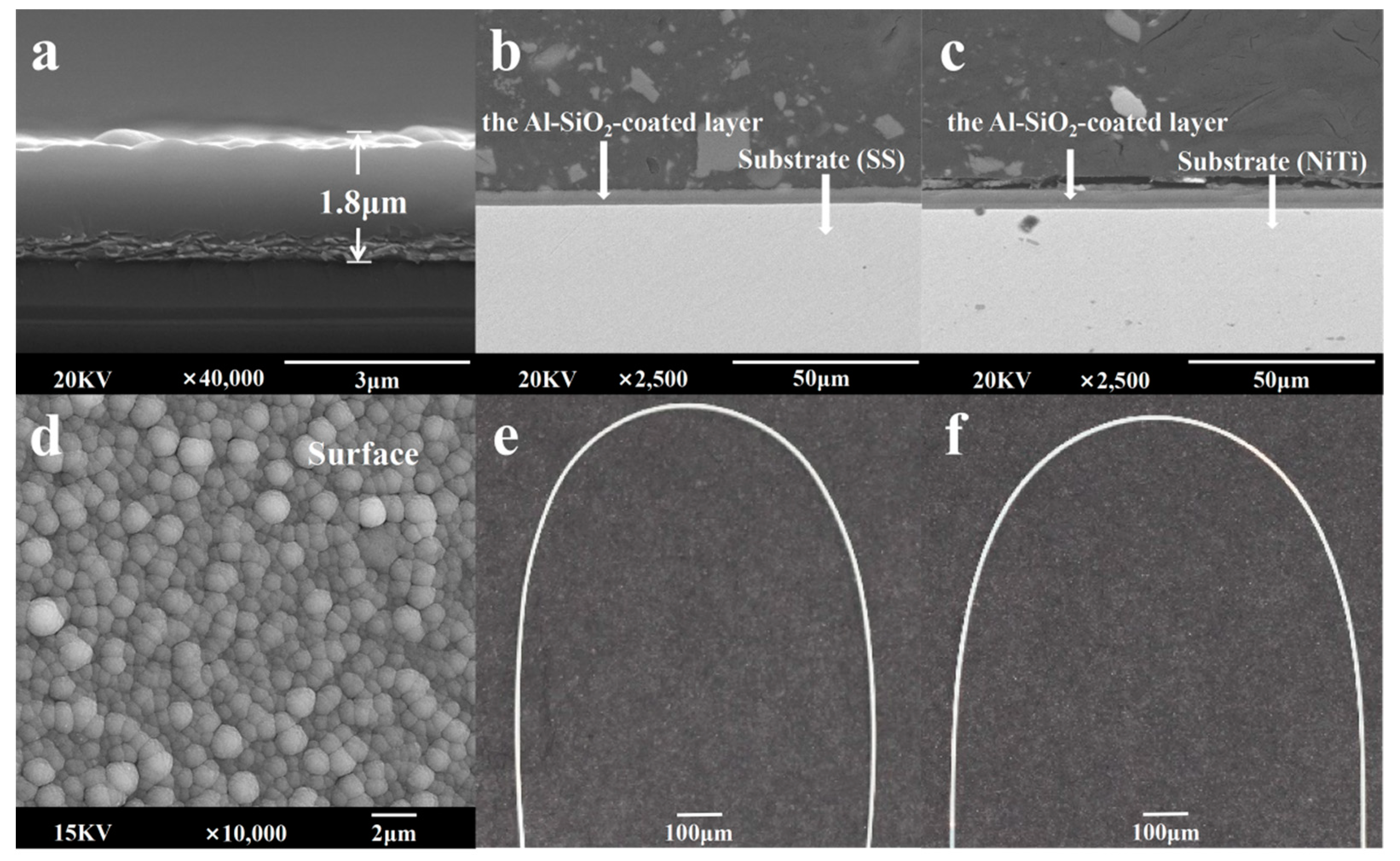 Coatings 12 00746 g002