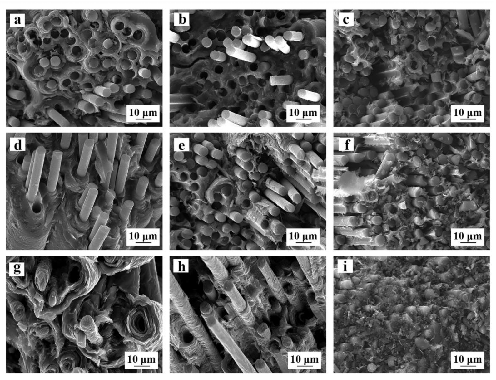 Coatings 12 00768 g006 Coatings 12 00768 g006
