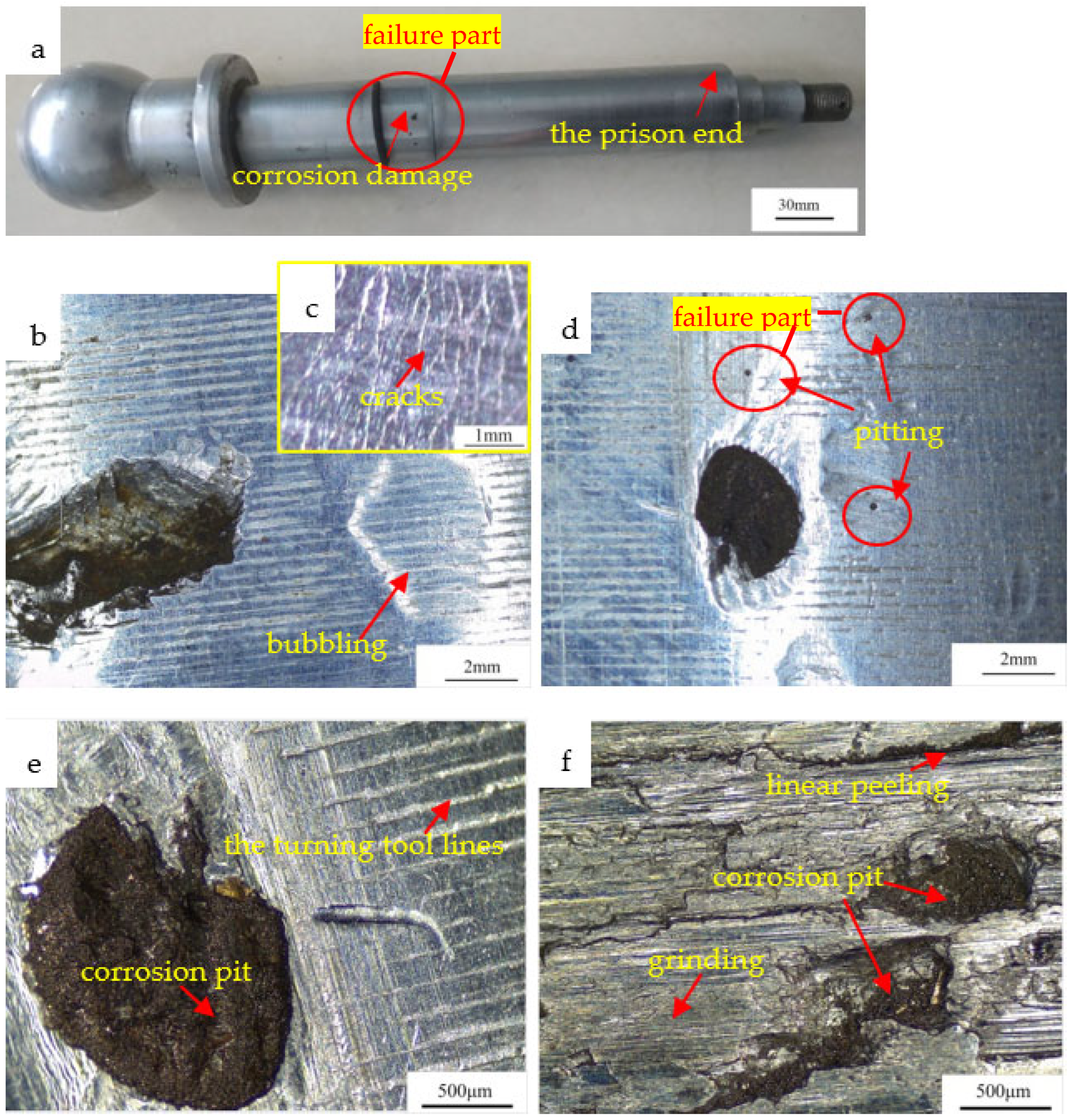 Coatings 12 00774 g002