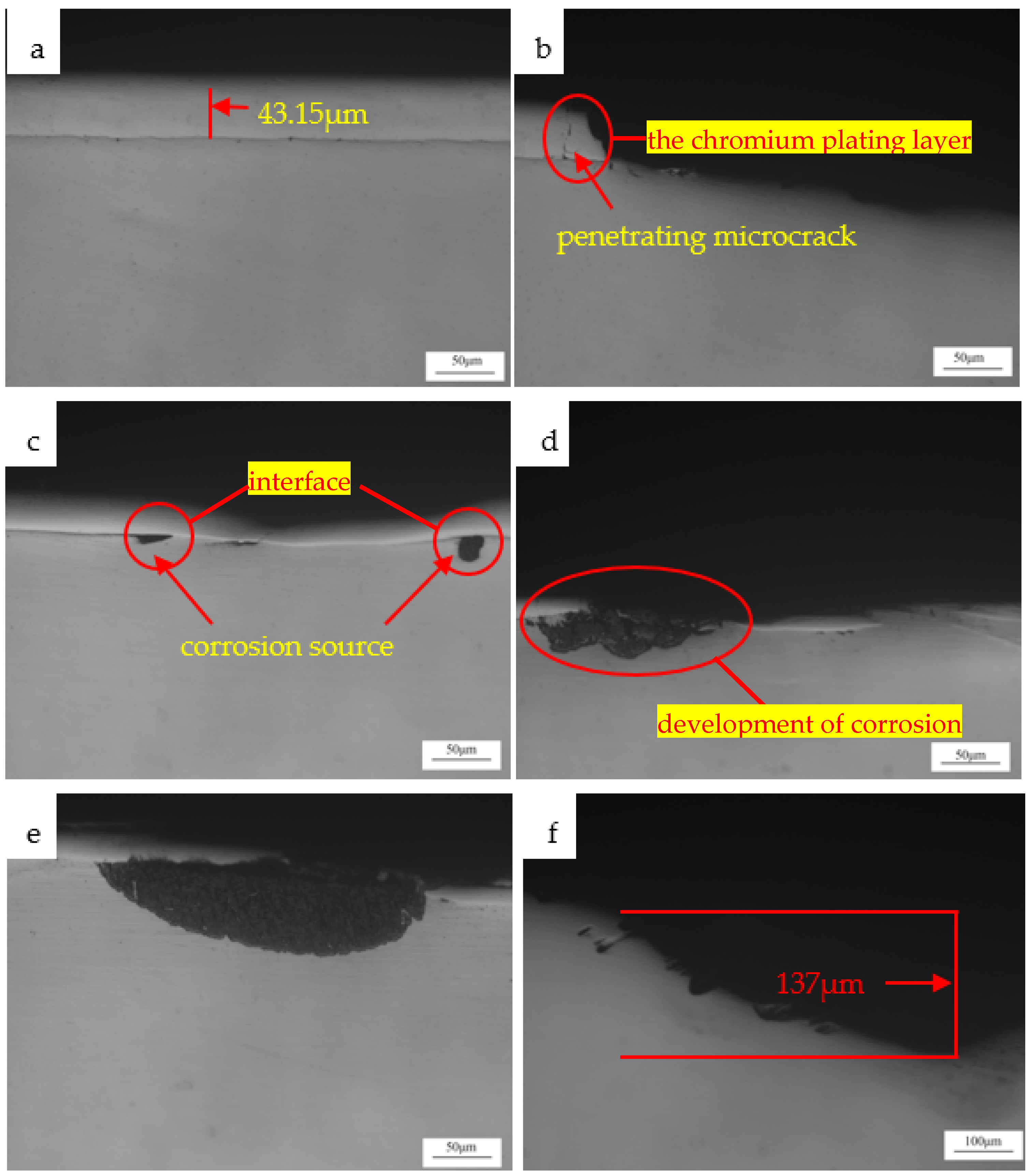 Coatings 12 00774 g003