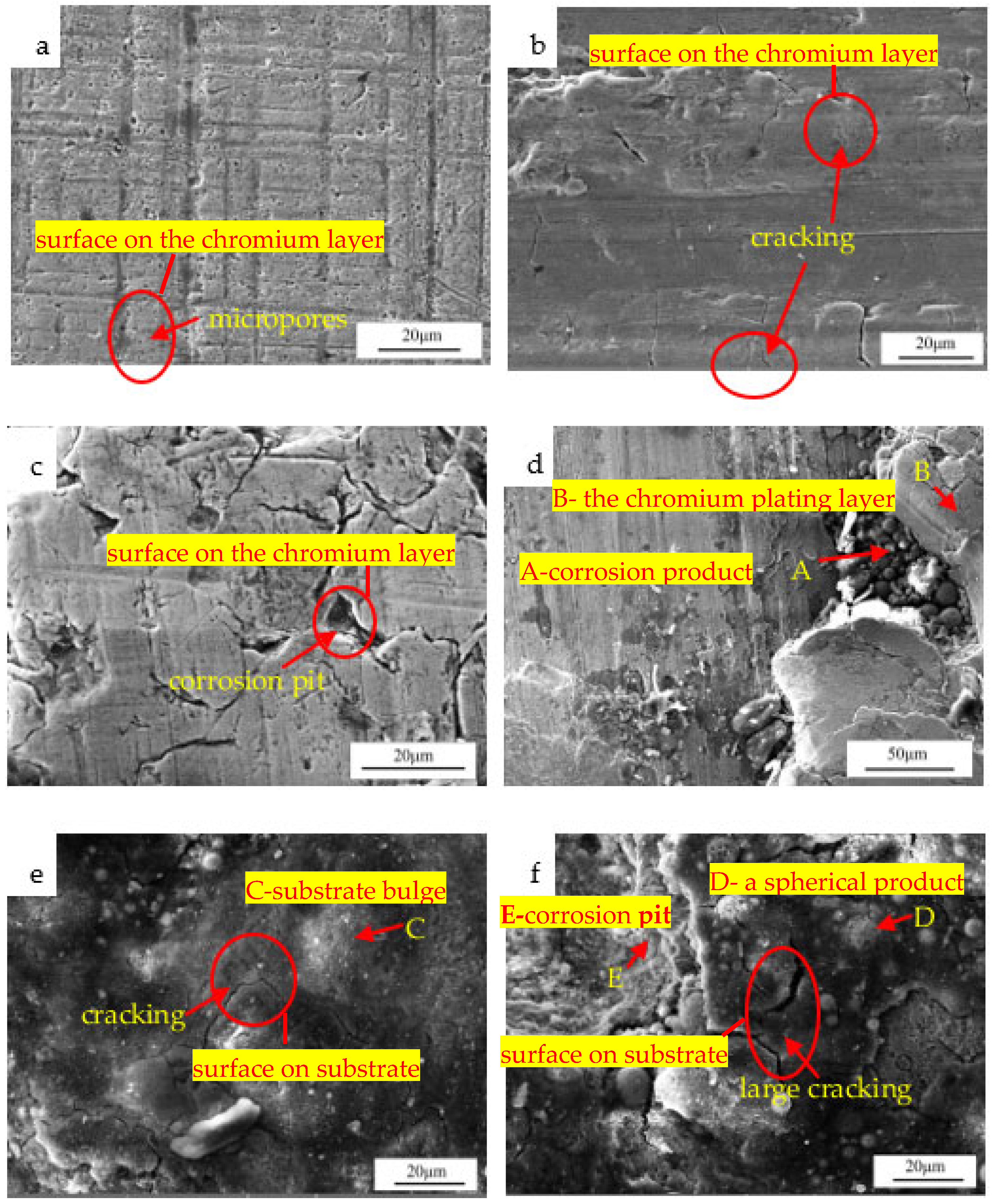 Coatings 12 00774 g005