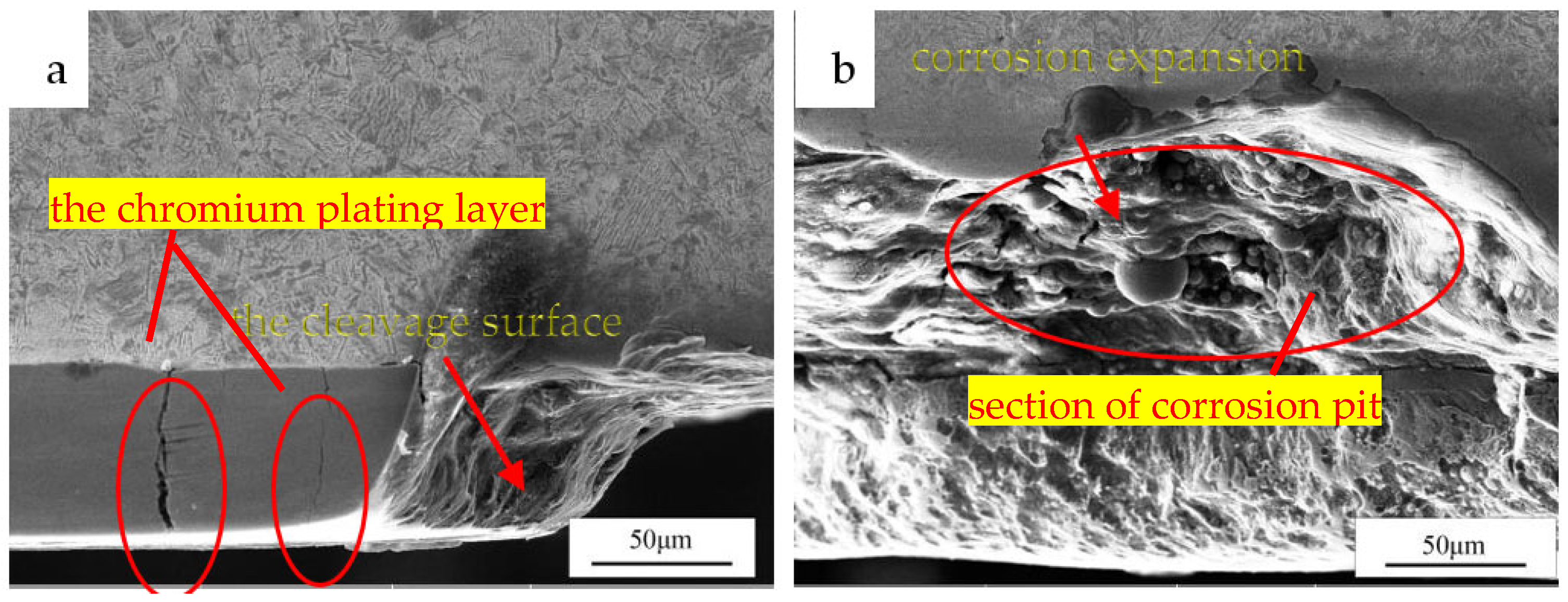 Coatings 12 00774 g006