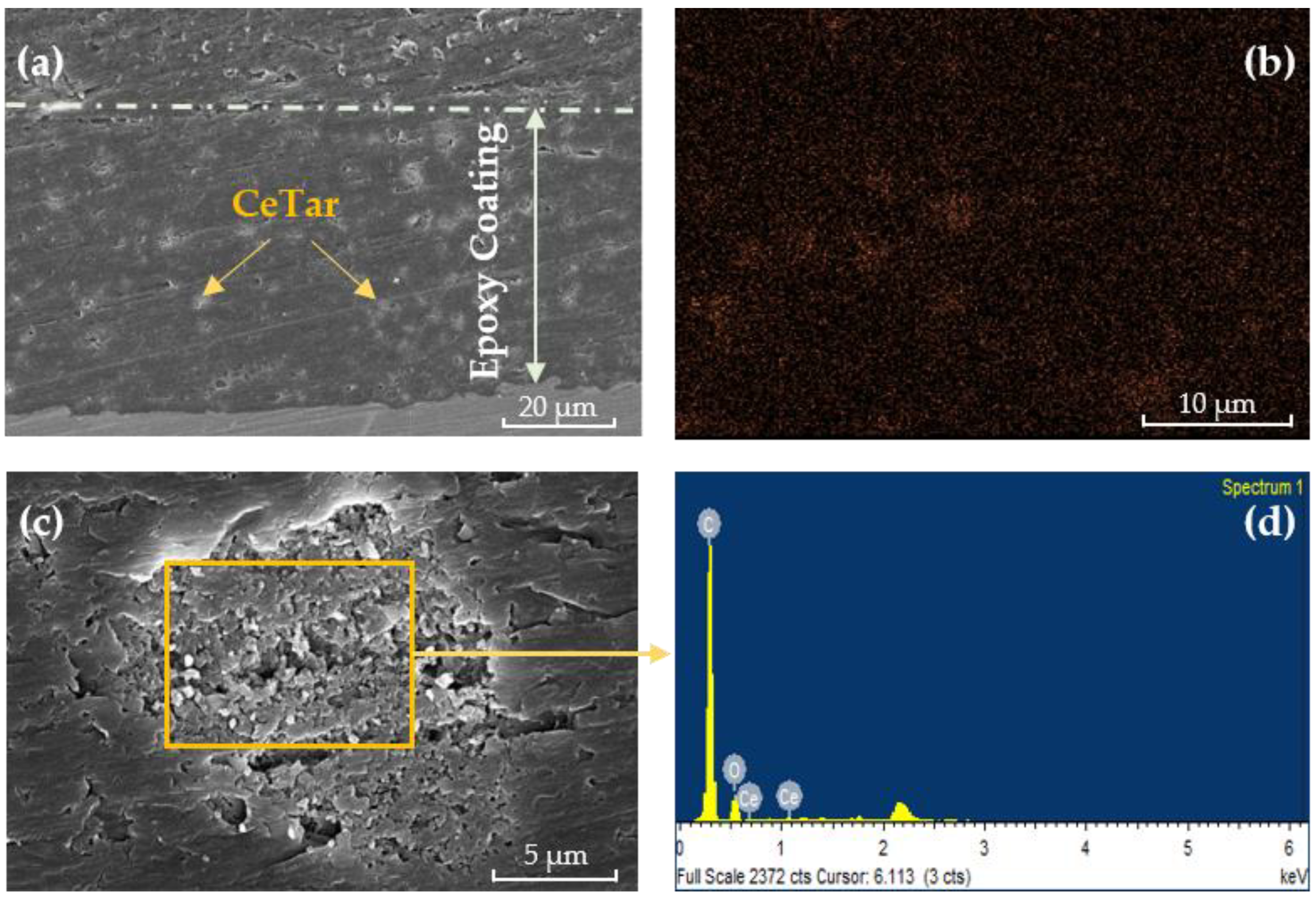 Coatings 12 00785 g002