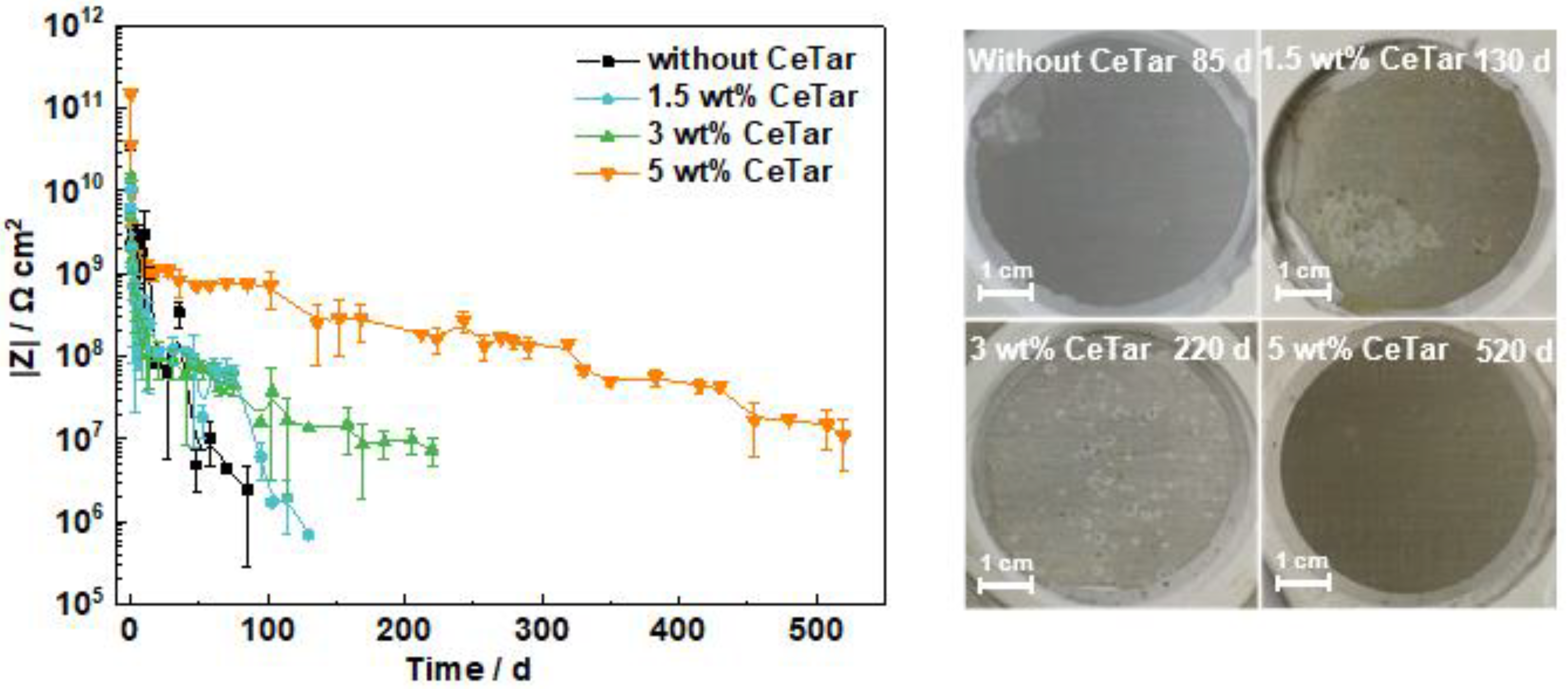 Coatings 12 00785 g005