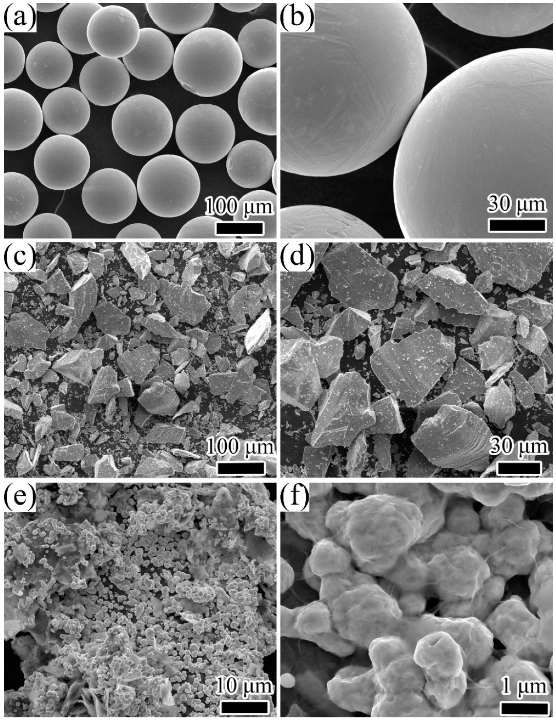 Coatings 12 00792 g001