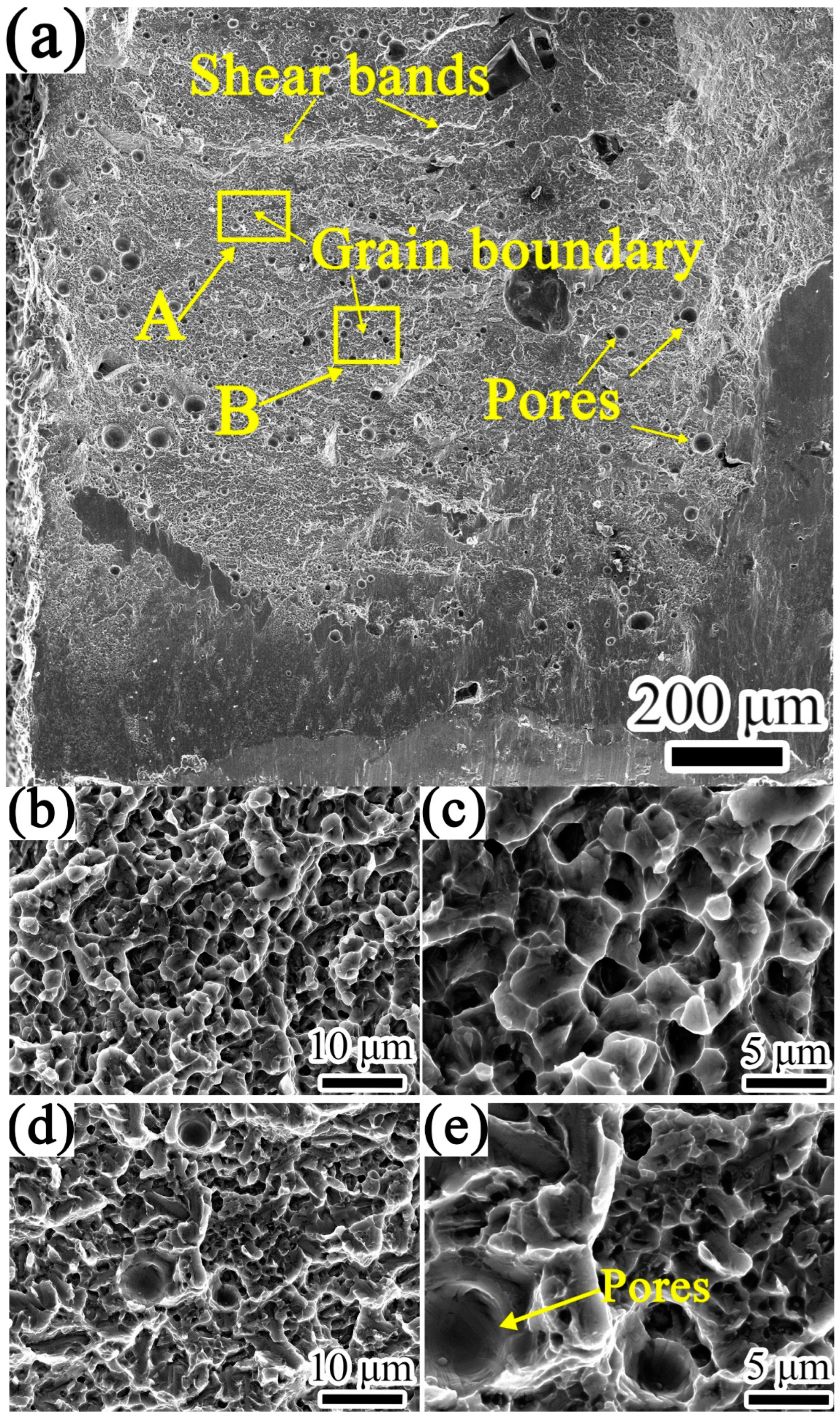 Coatings 12 00792 g008