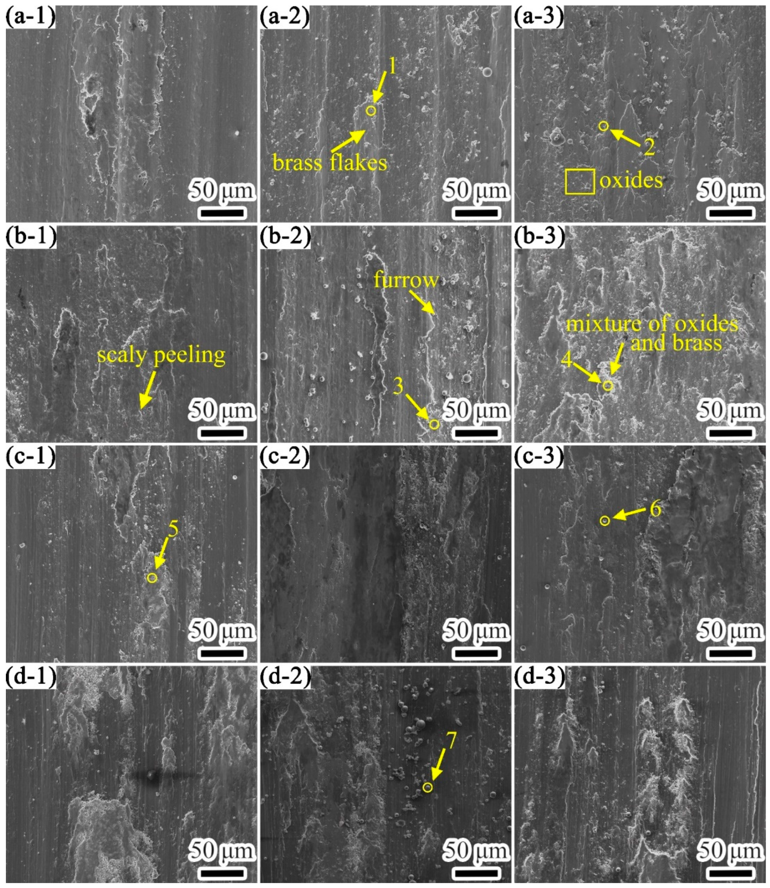 Coatings 12 00792 g014