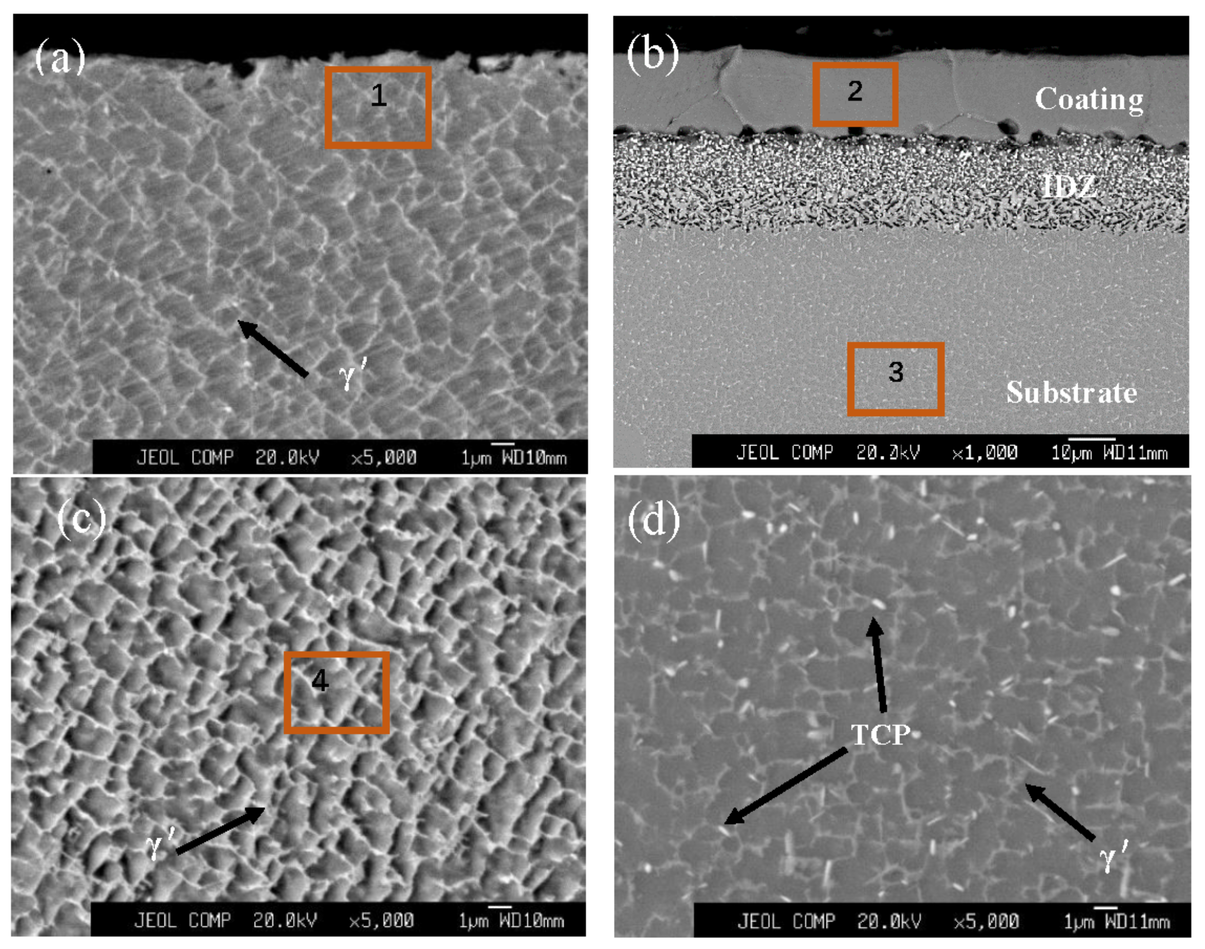 Coatings 12 00796 g001