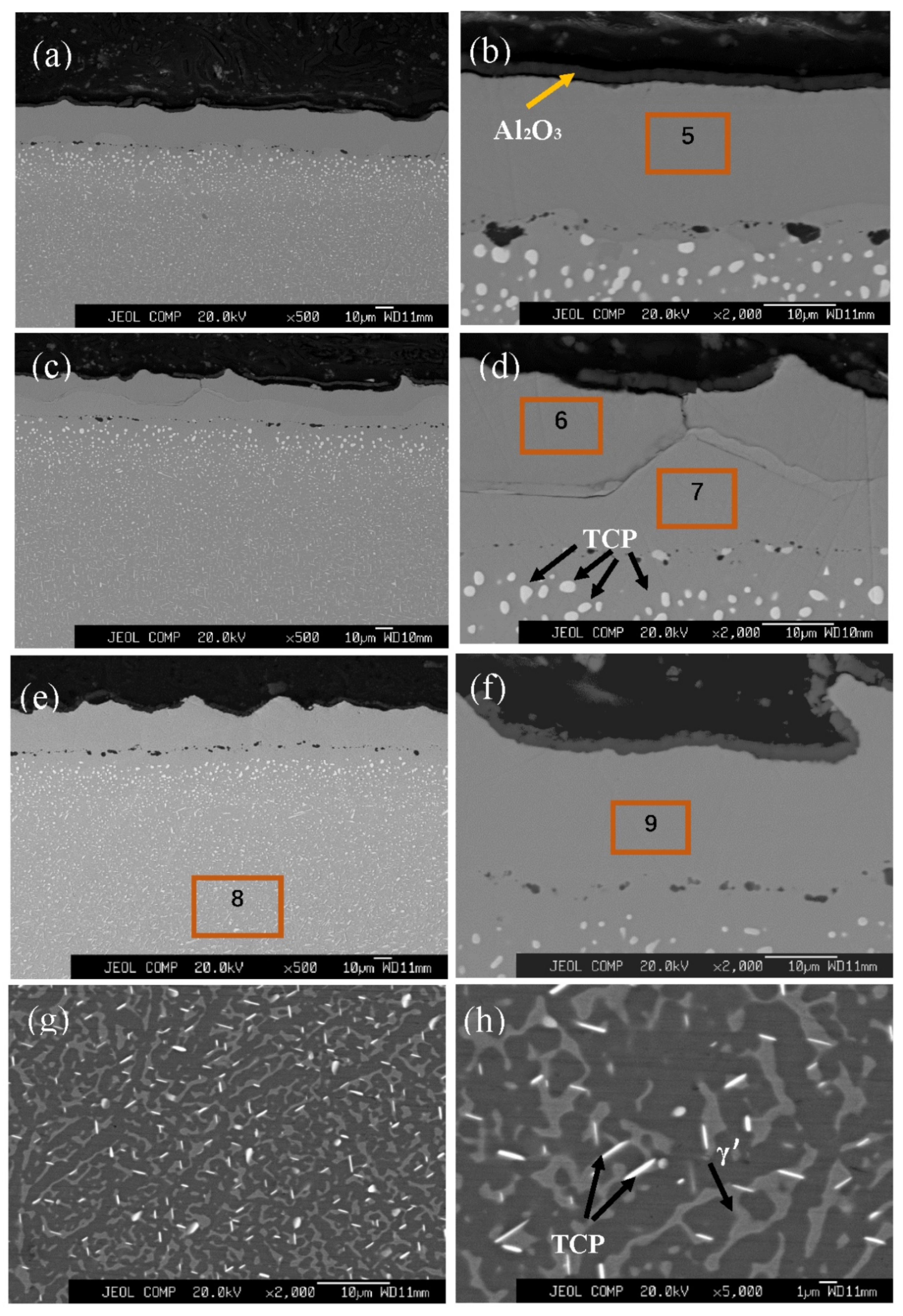 Coatings 12 00796 g002