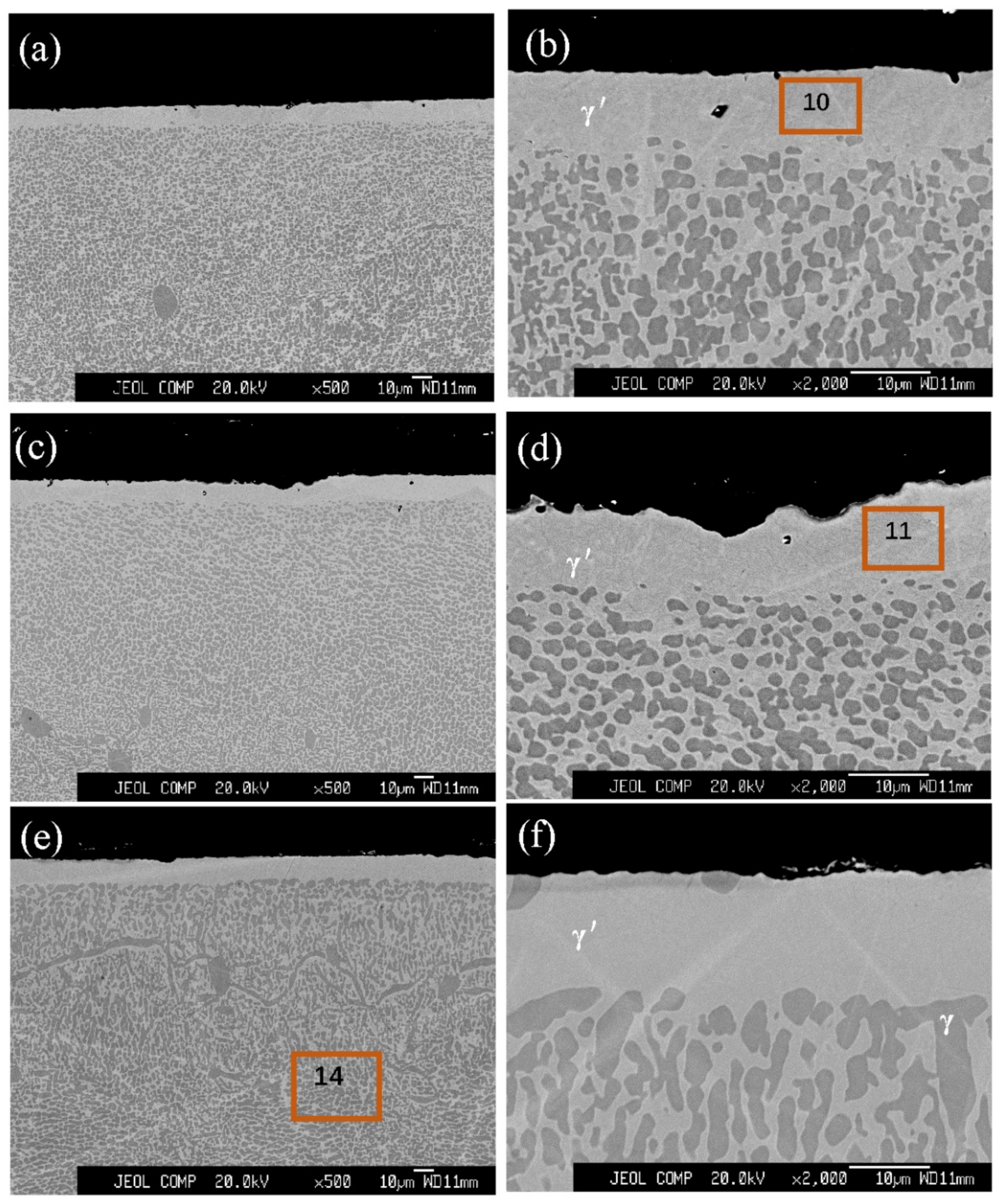 Coatings 12 00796 g003