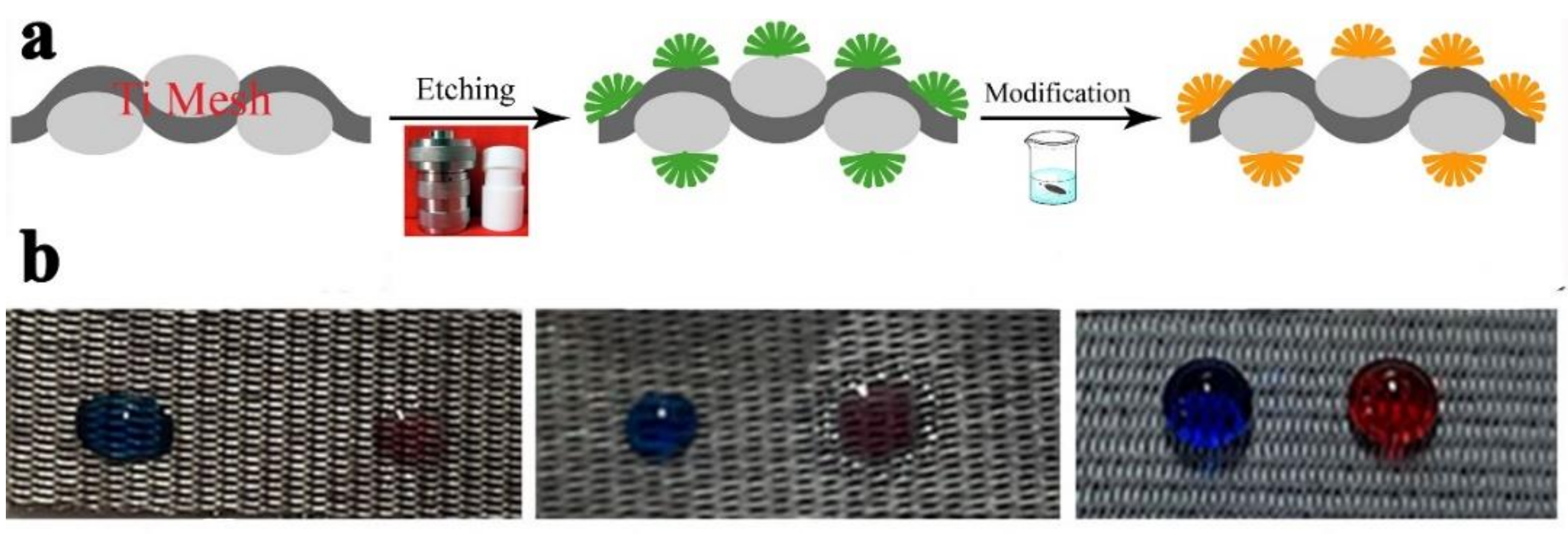 Coatings 12 00805 g002