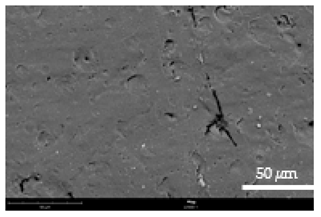 Coatings 12 00813 i010