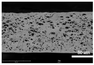 Coatings 12 00813 i011