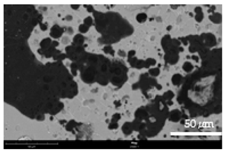 Coatings 12 00813 i017