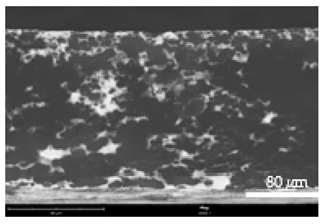 Coatings 12 00813 i019