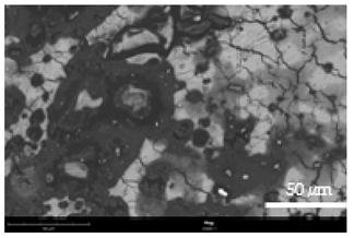 Coatings 12 00813 i021