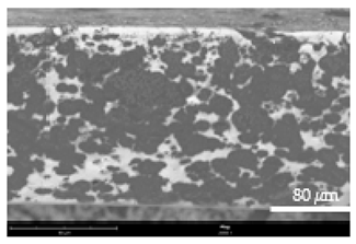 Coatings 12 00813 i023