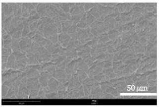 Coatings 12 00813 i025