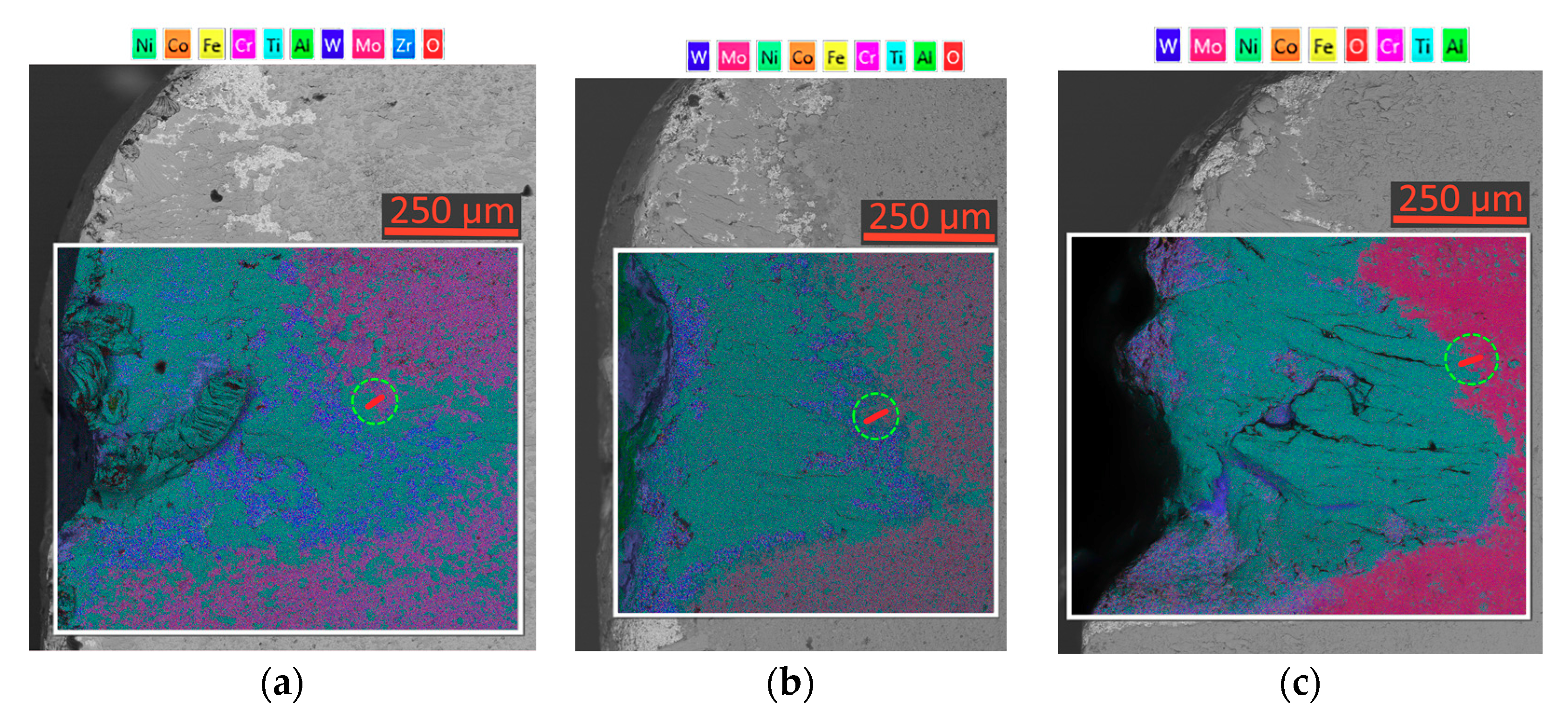 Coatings 12 00819 g003