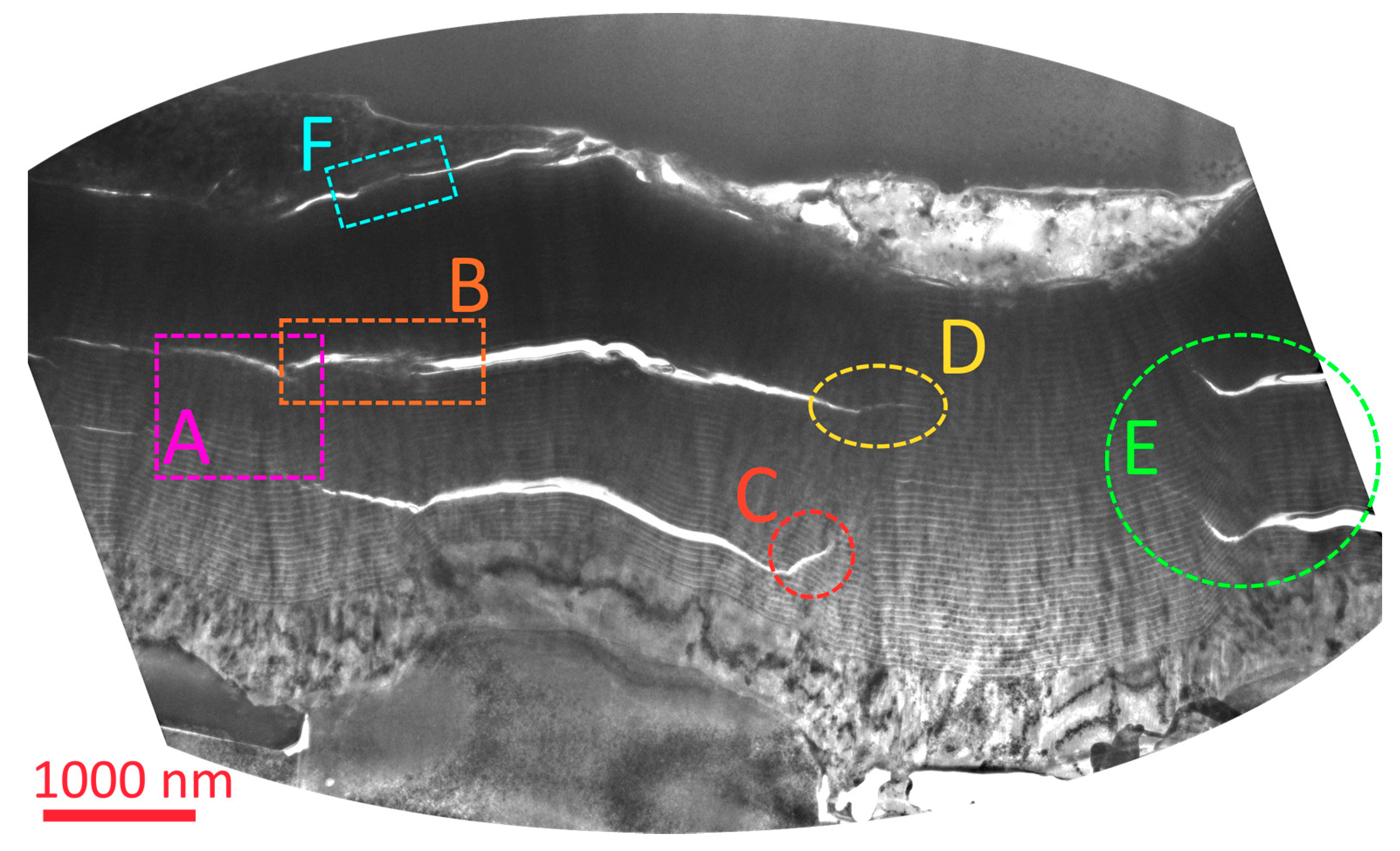 Coatings 12 00819 g004