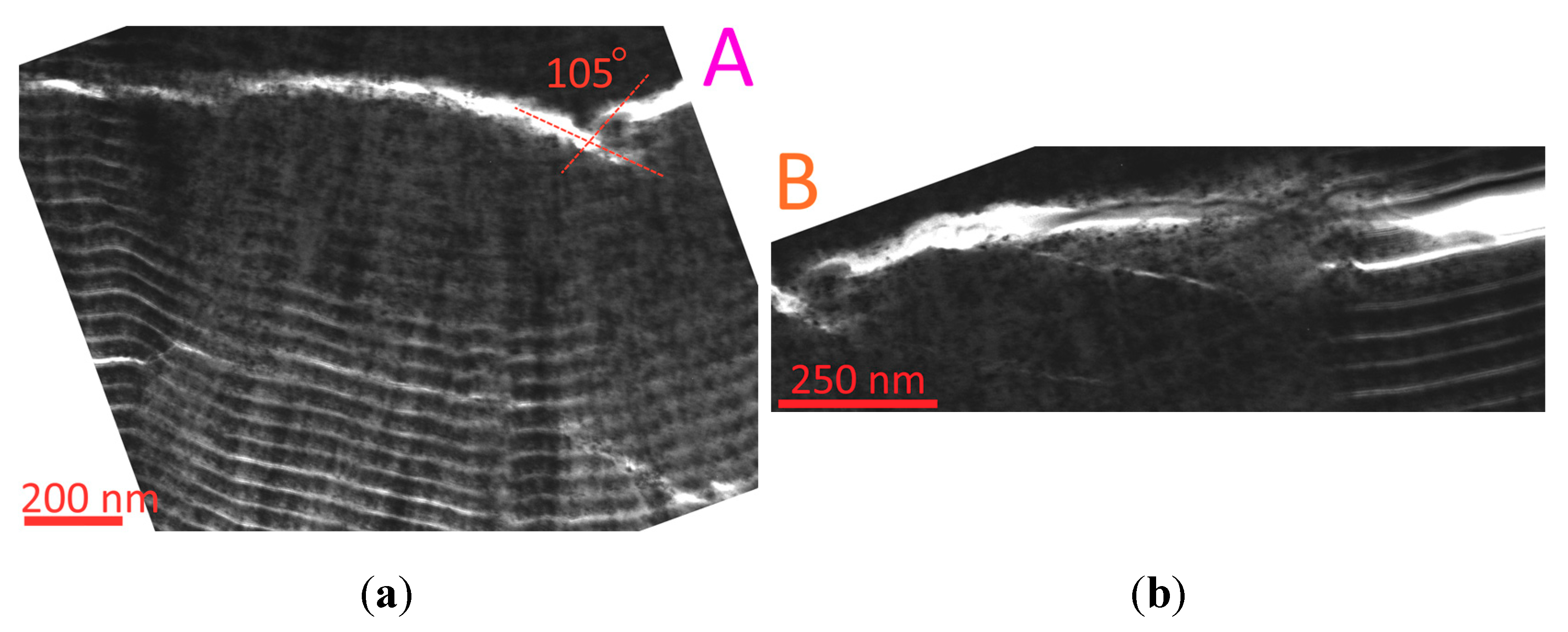Coatings 12 00819 g005a