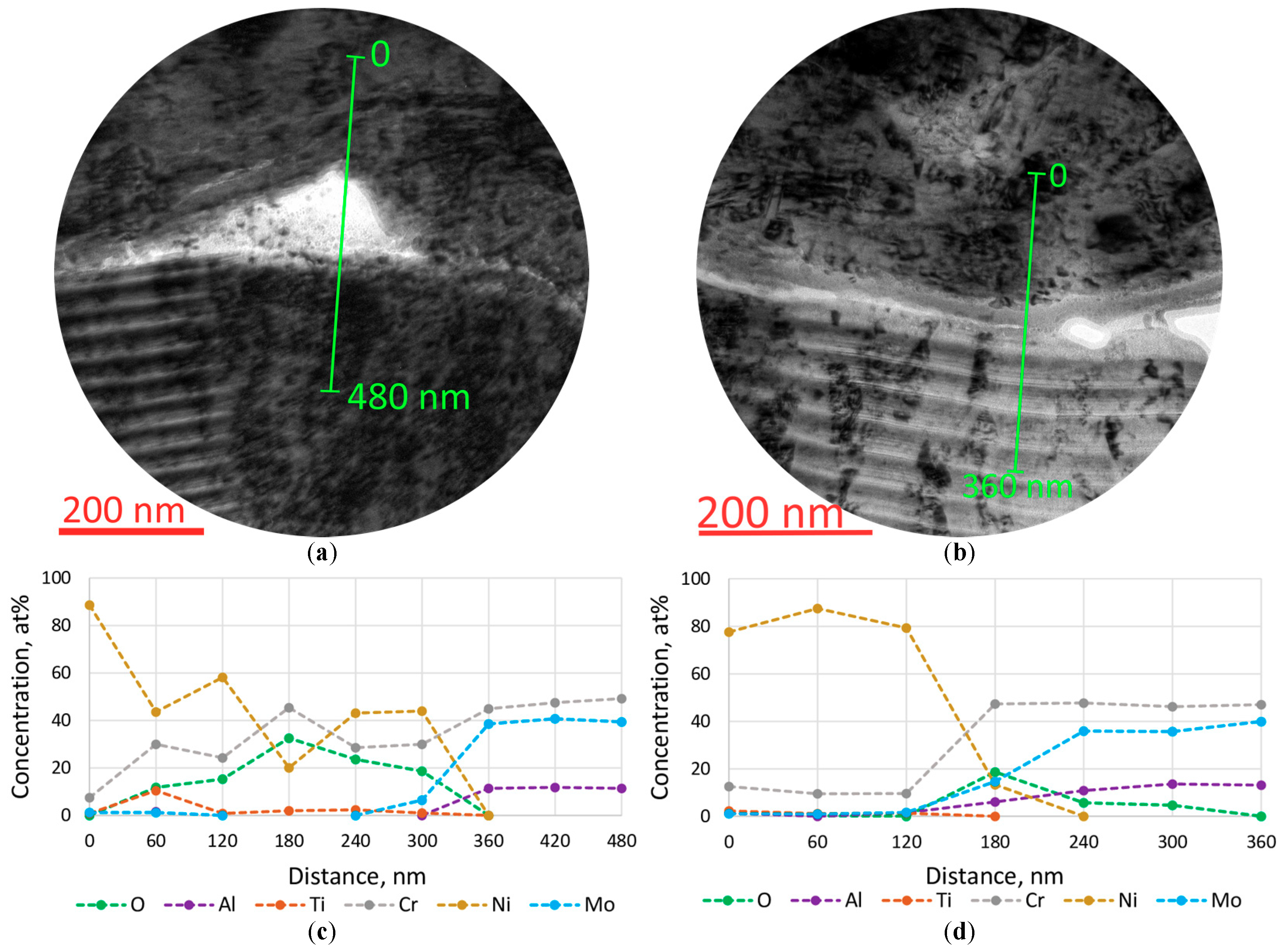 Coatings 12 00819 g010