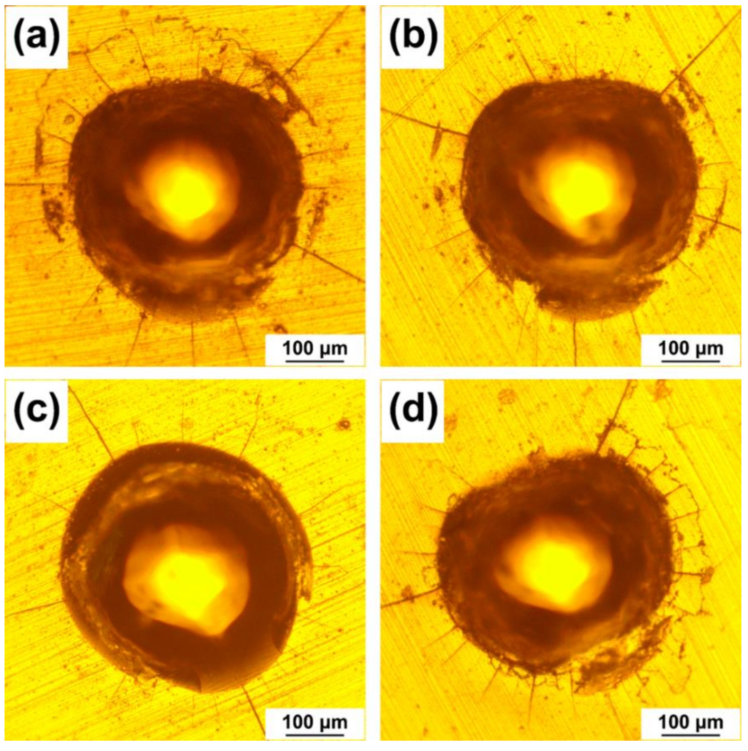 Coatings 12 00845 g011