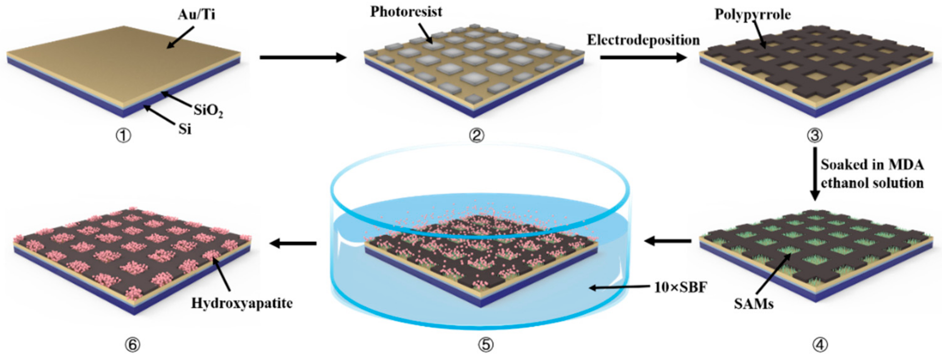 Coatings 12 00849 g001