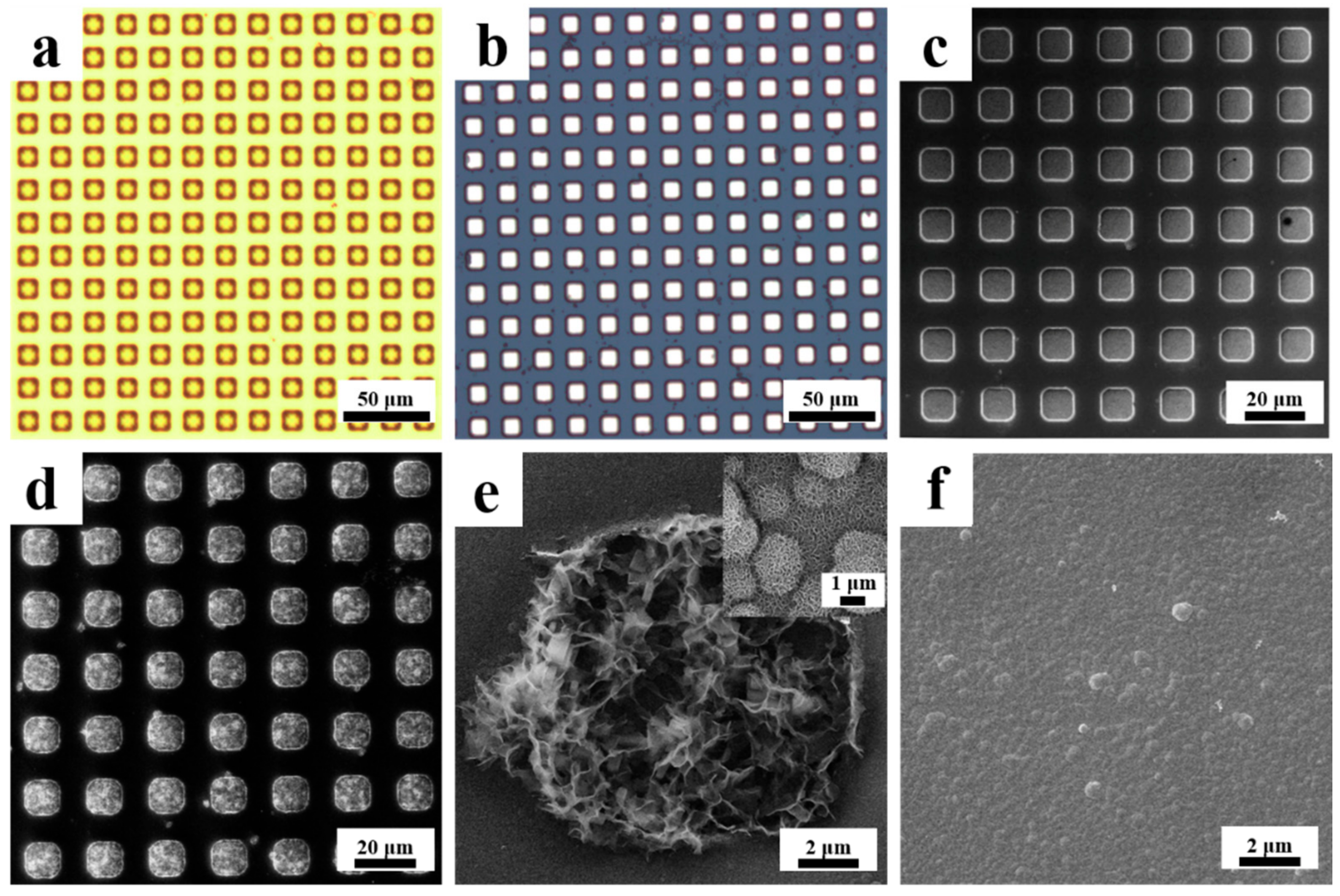 Coatings 12 00849 g002