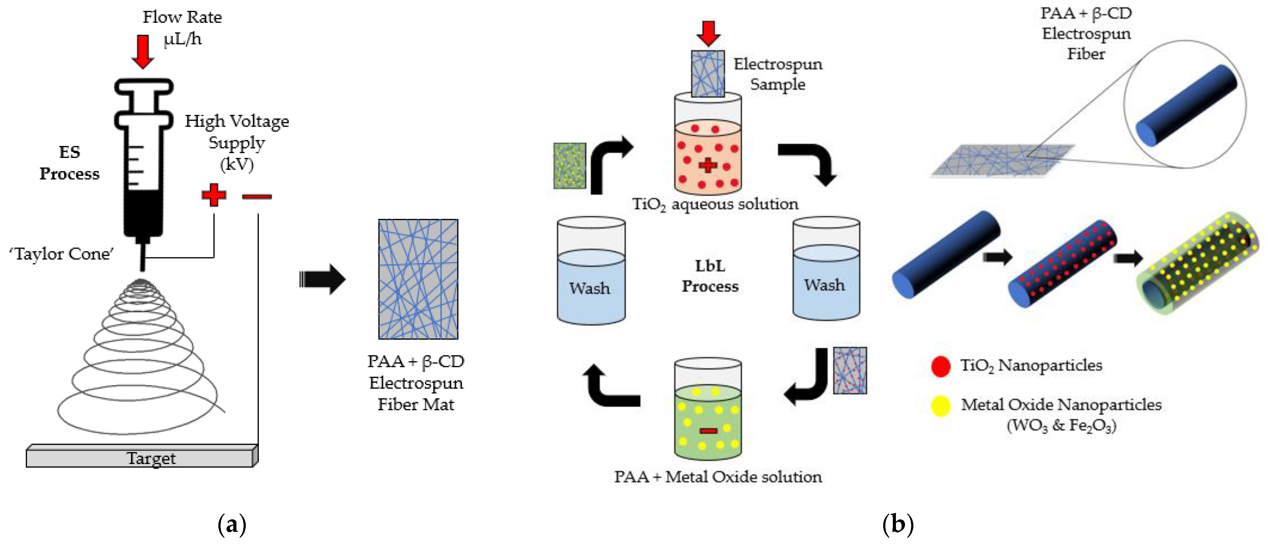 Coatings 12 00862 g001