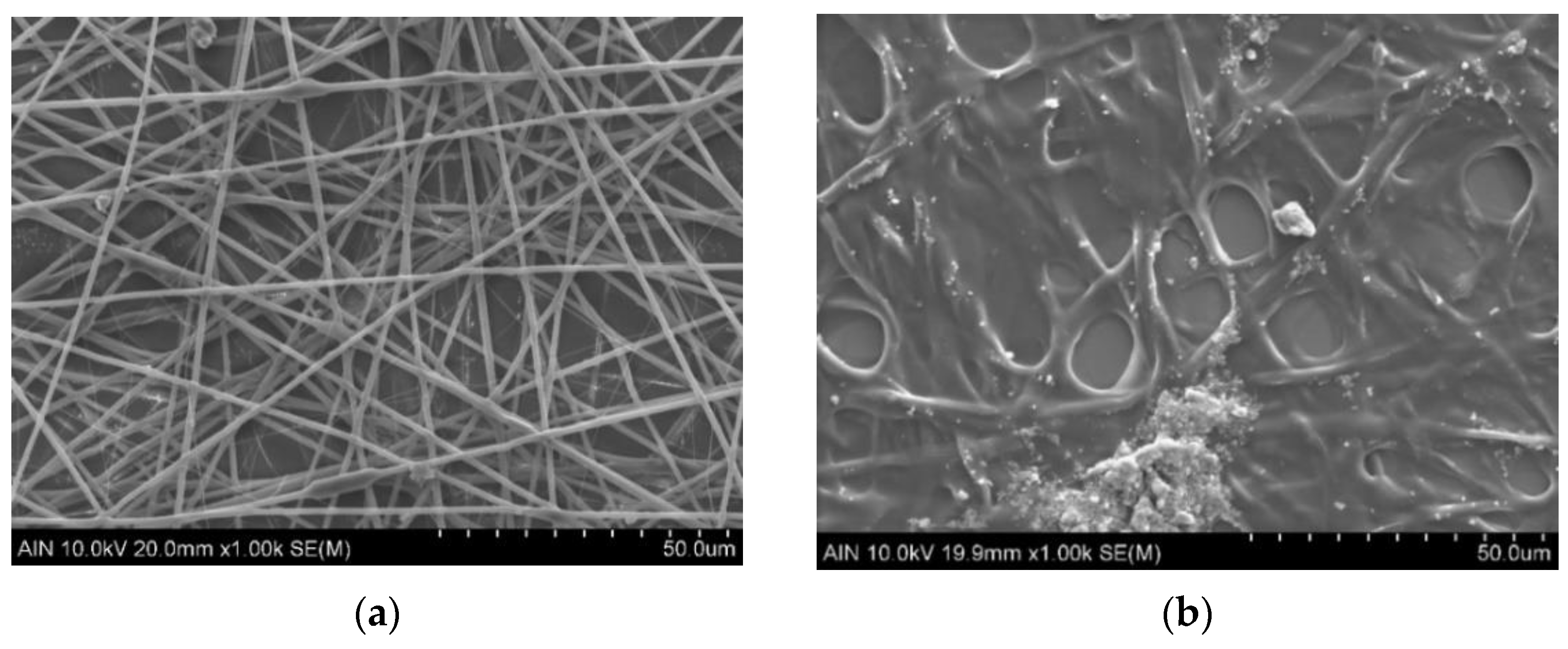 Coatings 12 00862 g005a