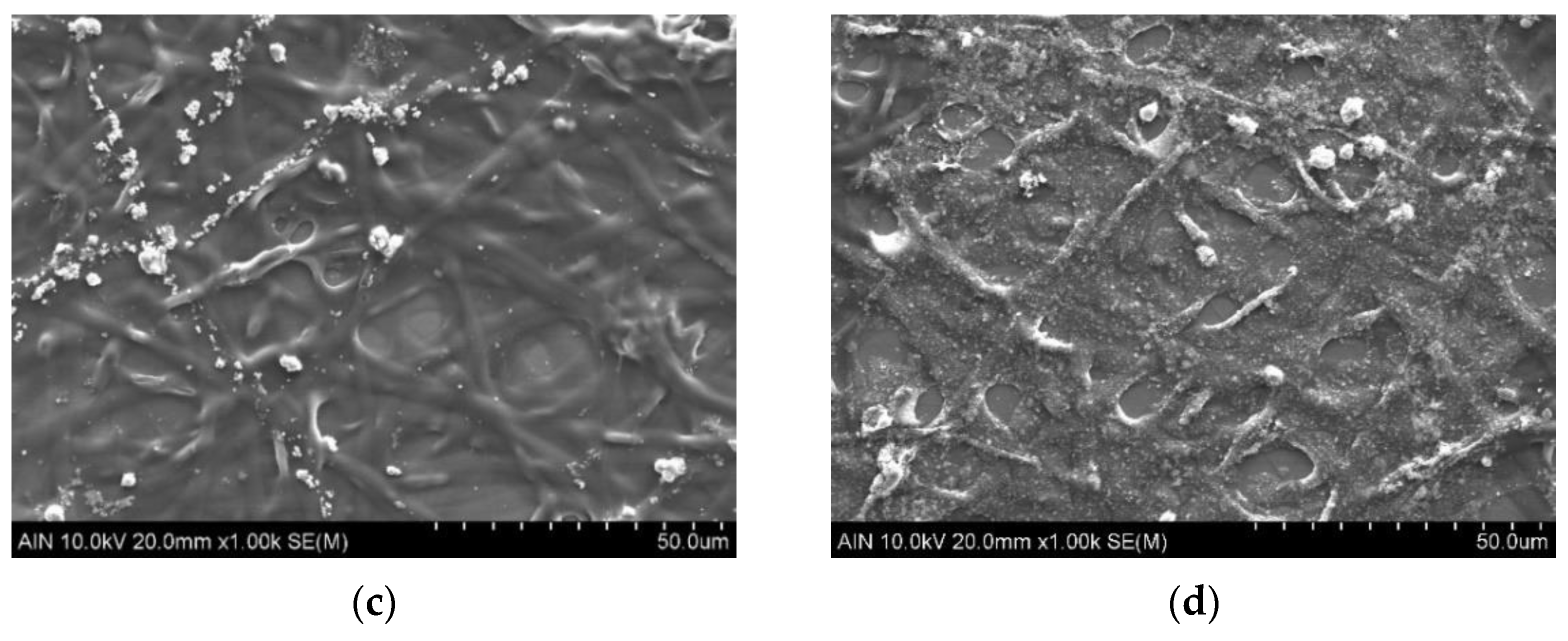 Coatings 12 00862 g005b