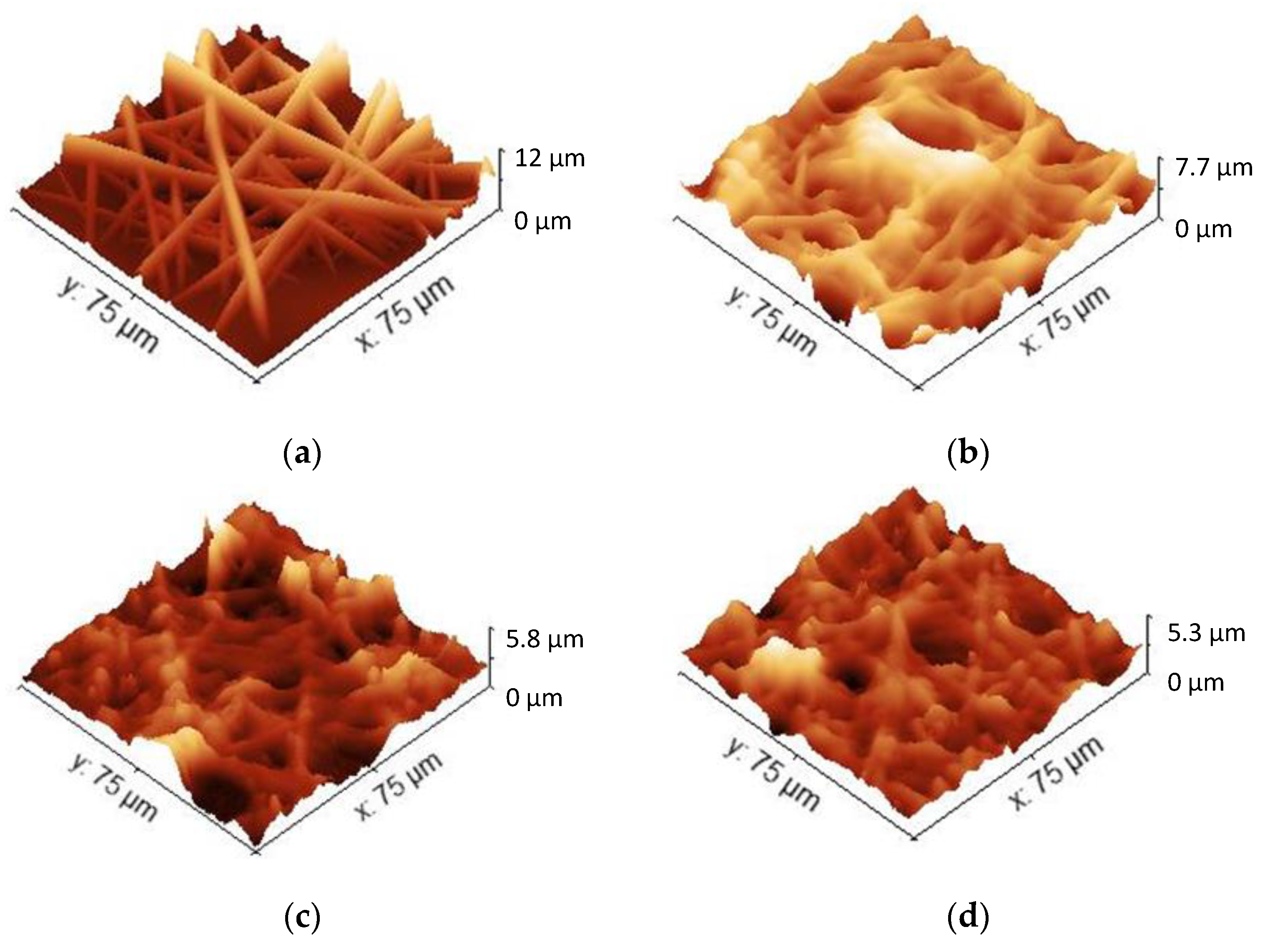 Coatings 12 00862 g007
