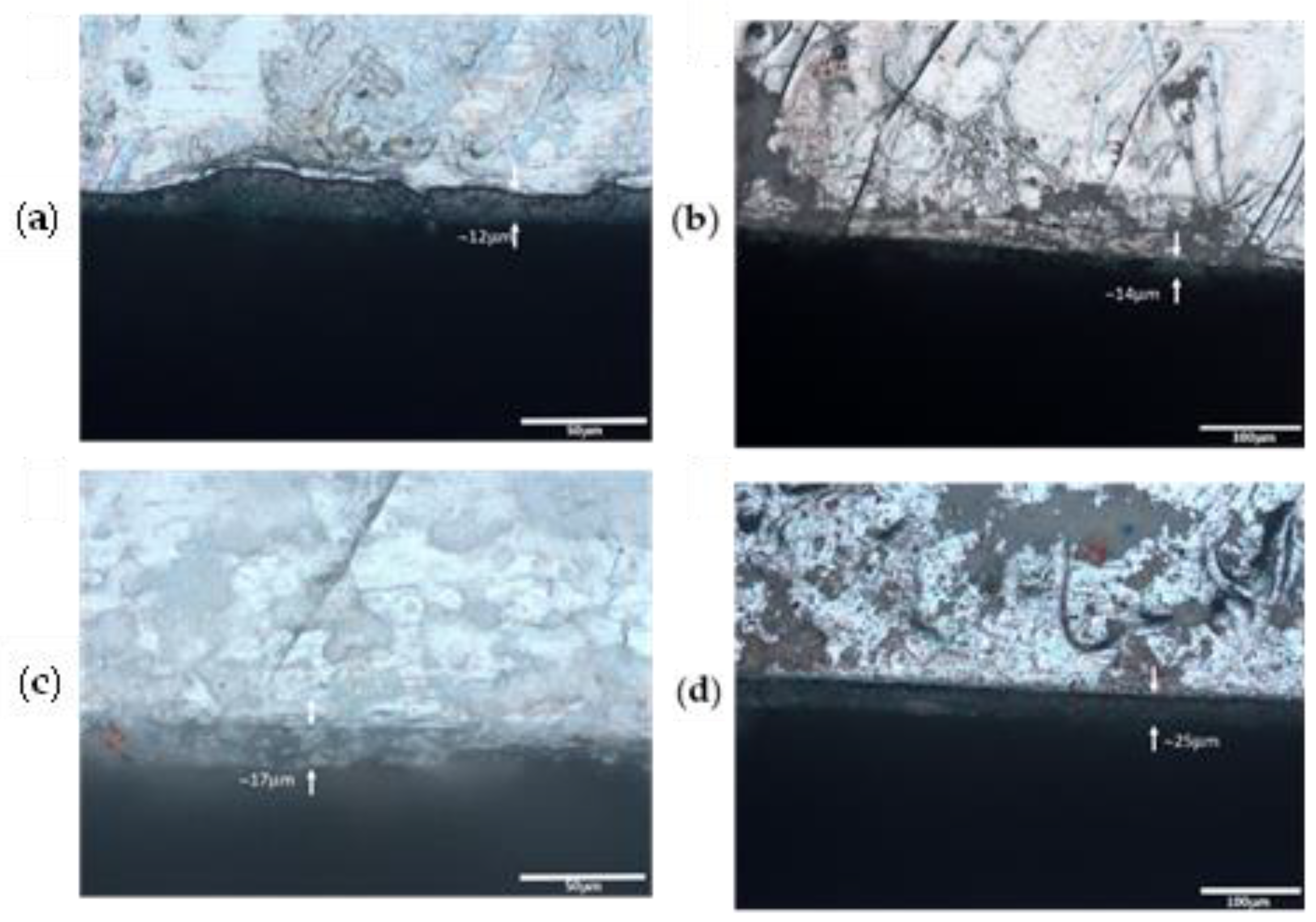 Coatings 12 00862 g008