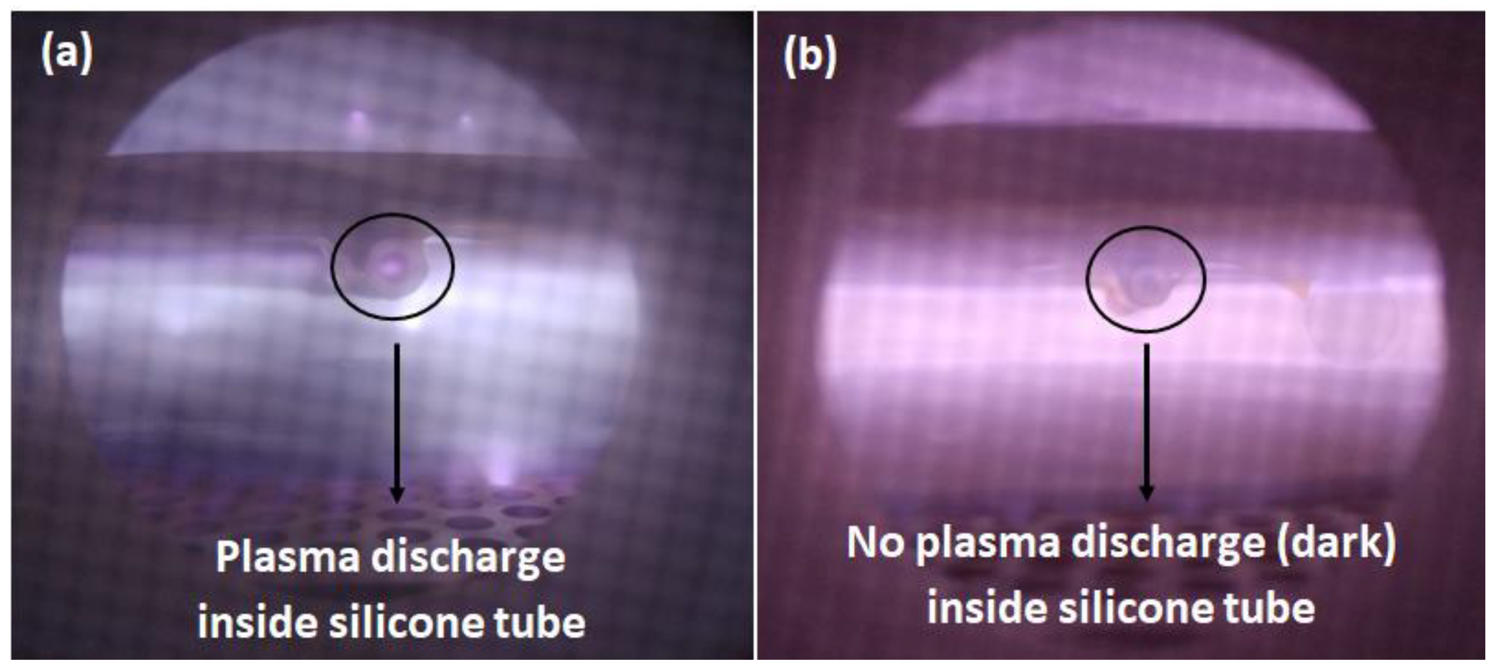 Coatings 12 00865 g005