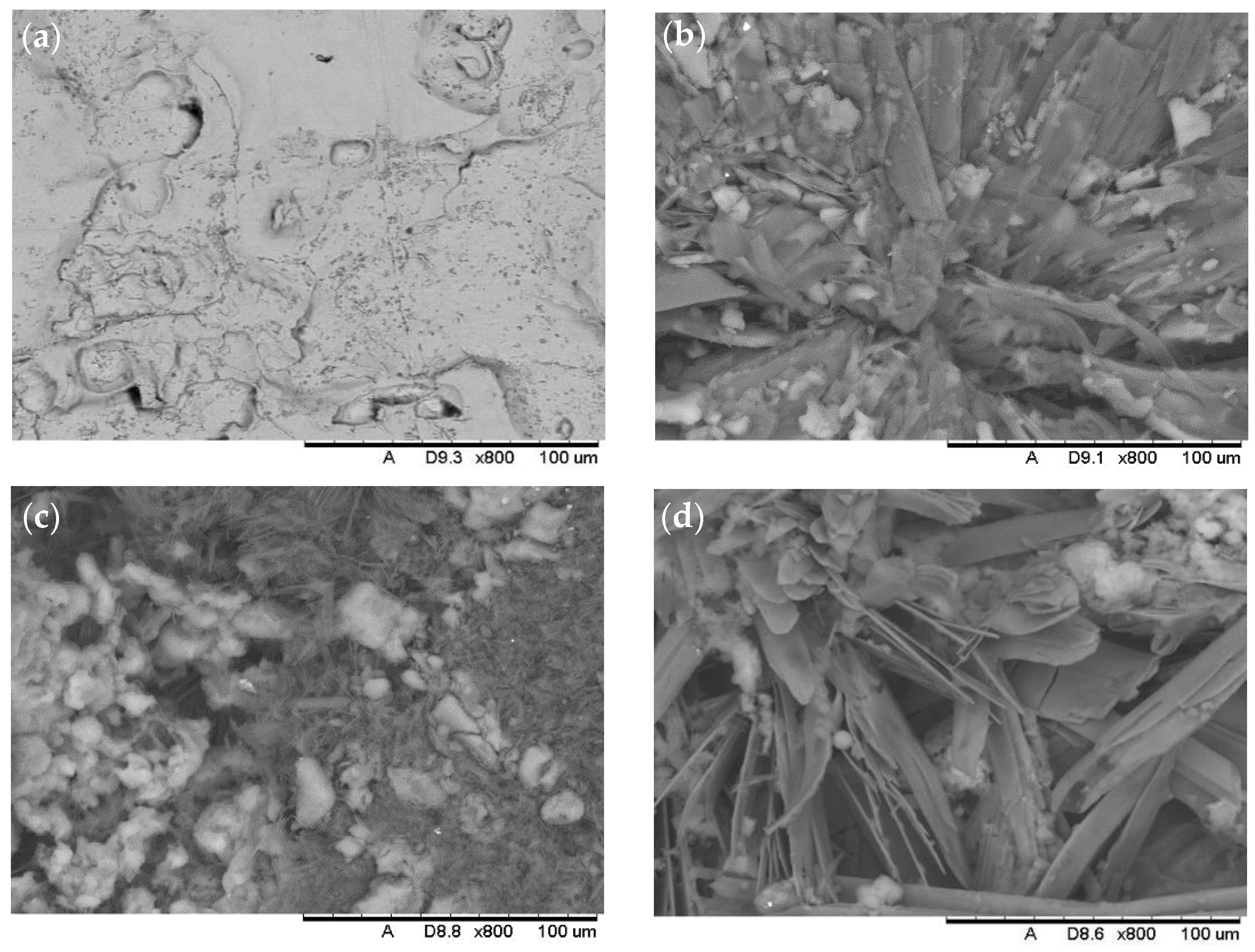 Coatings 12 00895 g002