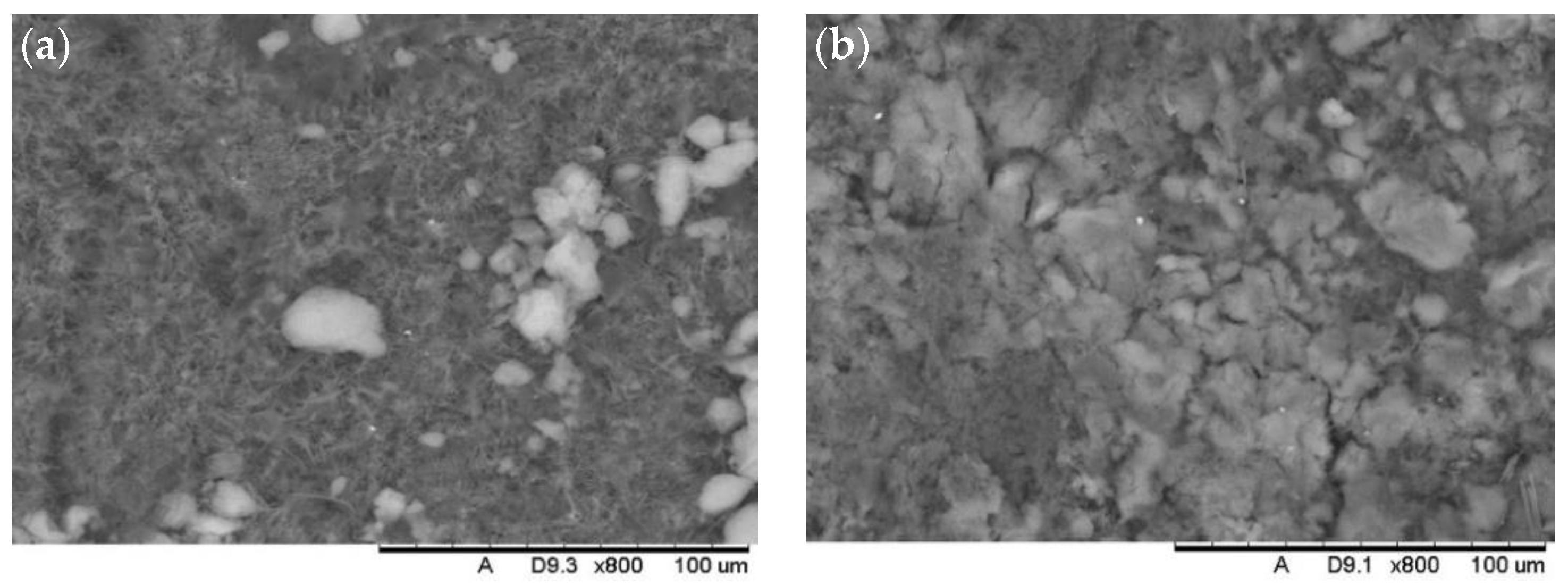 Coatings 12 00895 g008