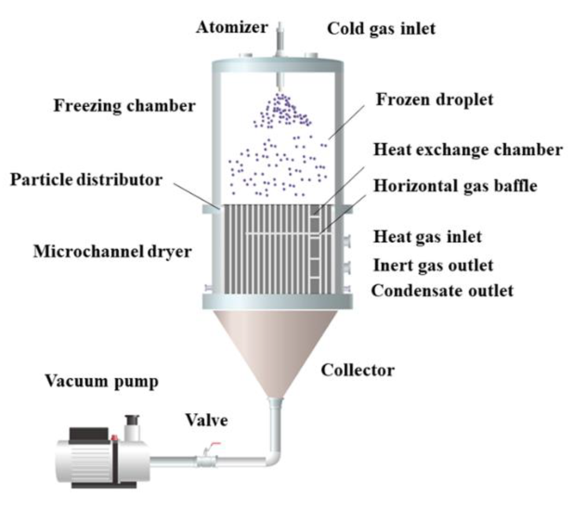 Coatings 12 00896 g004