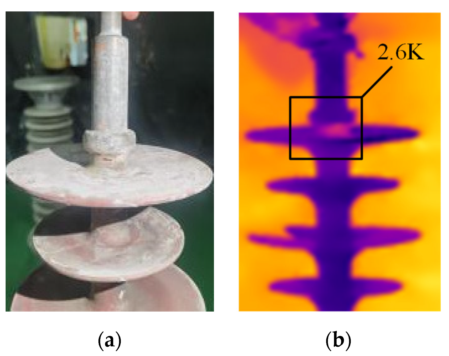 Coatings 12 00898 g006