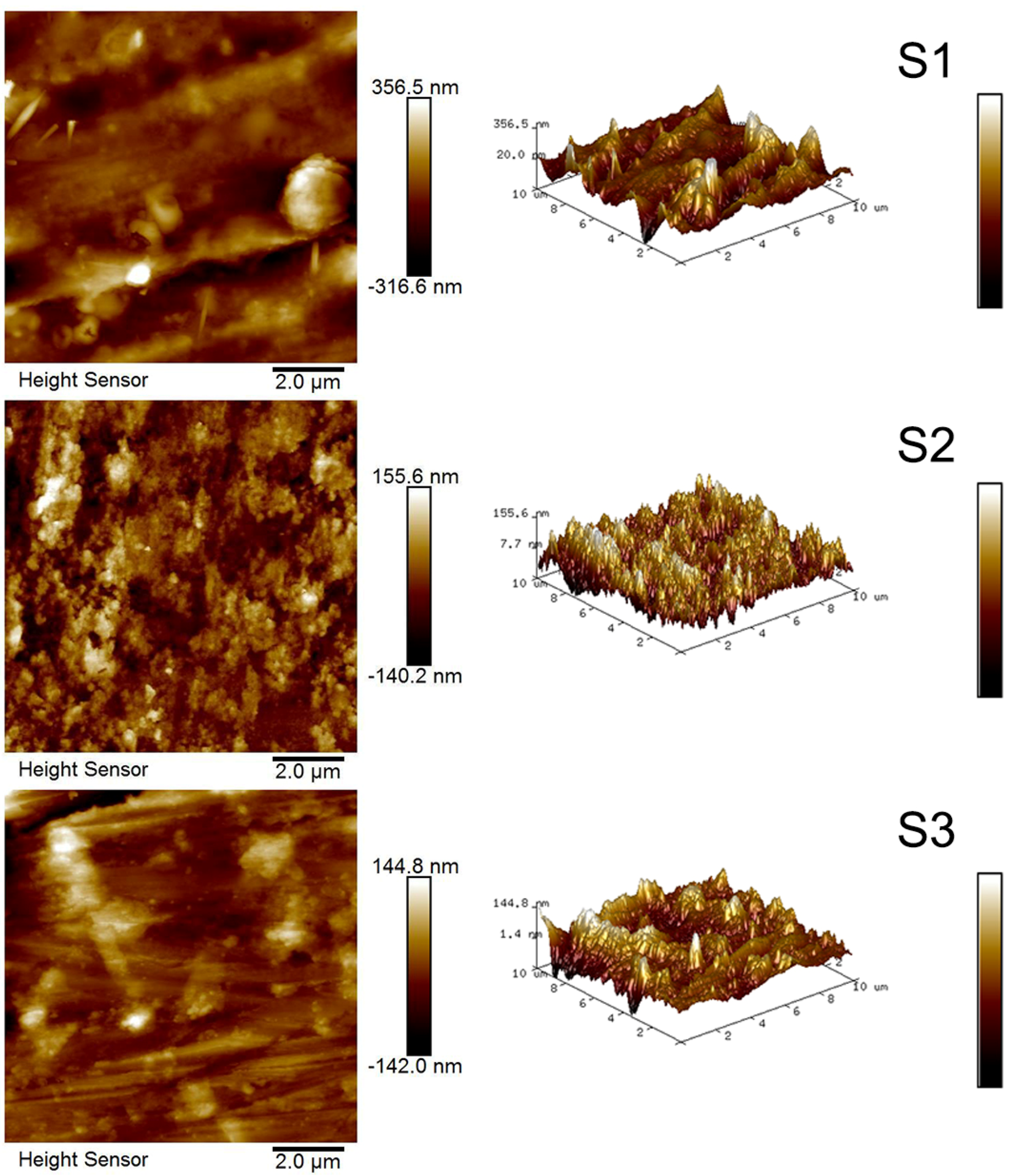 Coatings 12 00899 g002