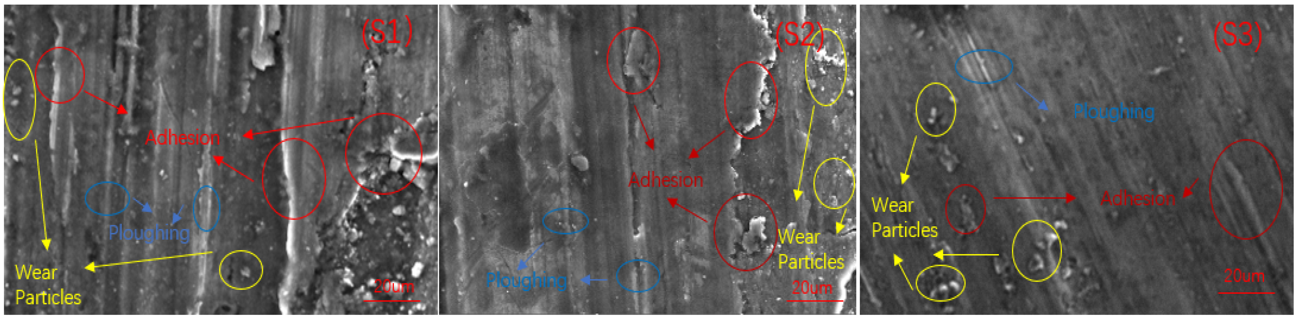 Coatings 12 00899 g005