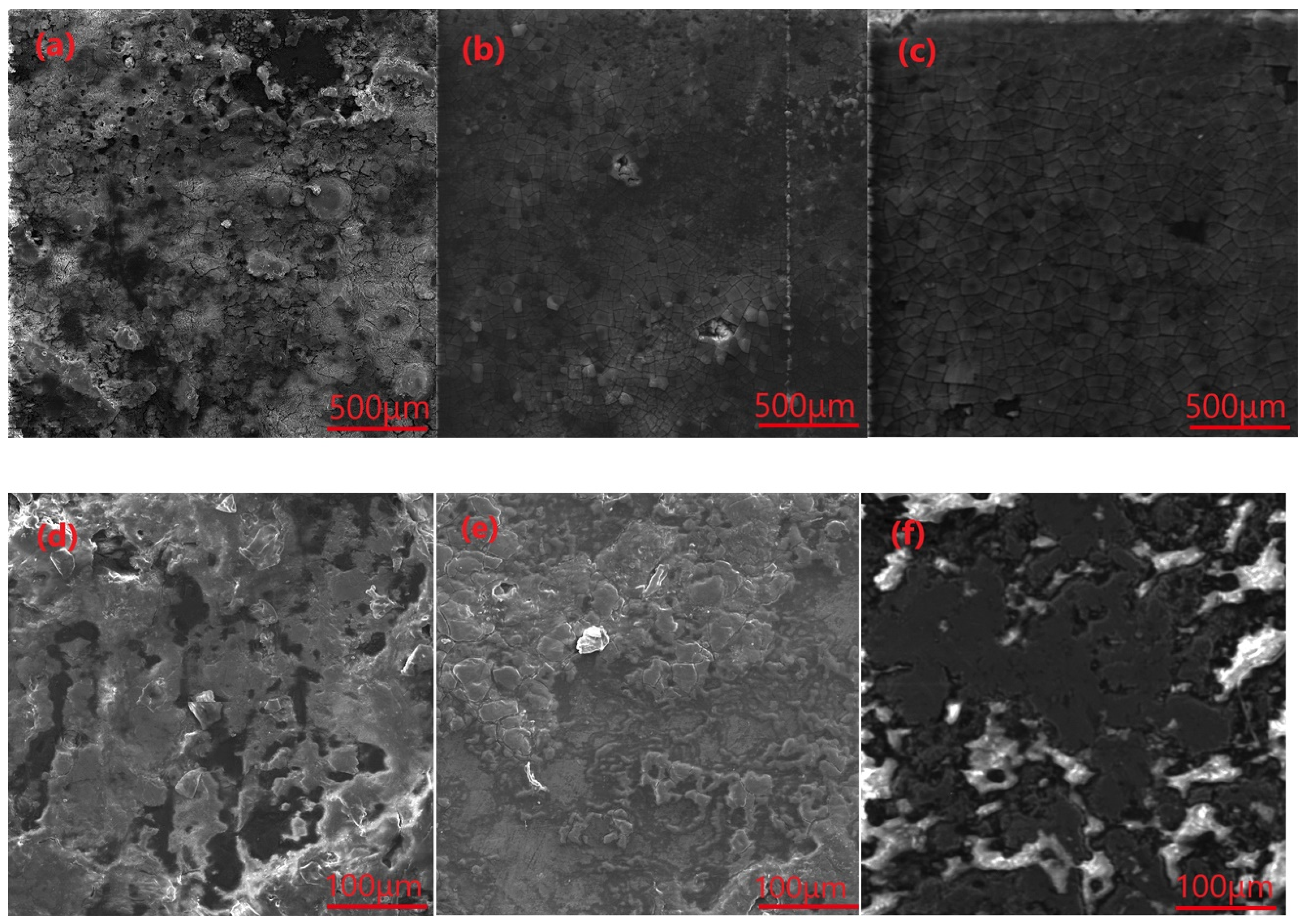 Coatings 12 00899 g006