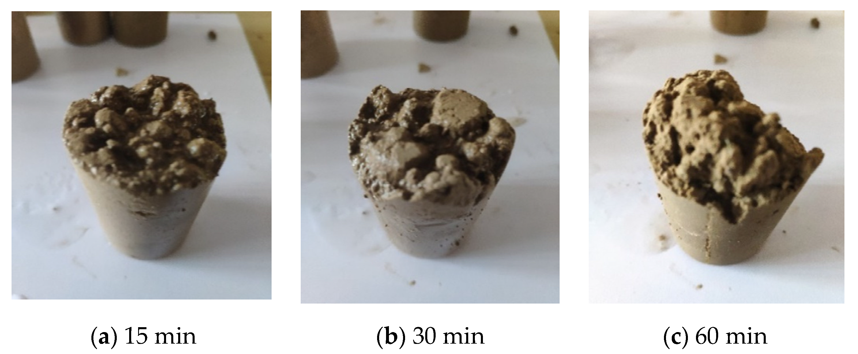 Coatings 12 00903 g010