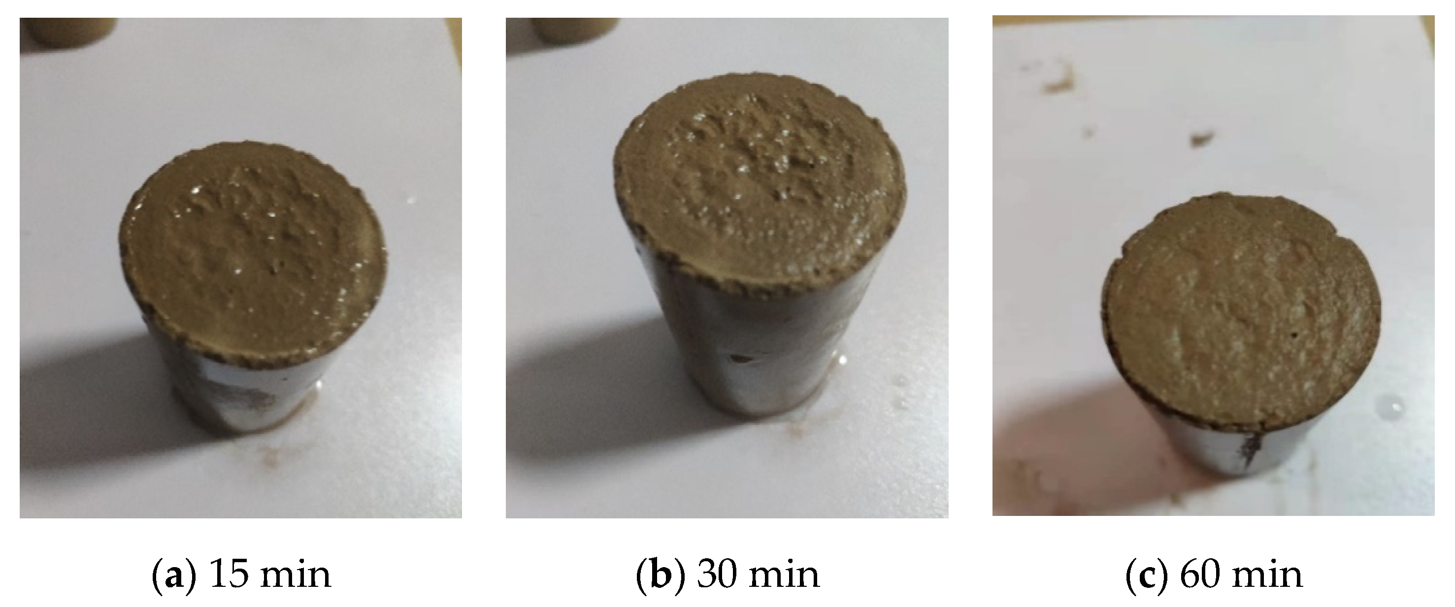 Coatings 12 00903 g011