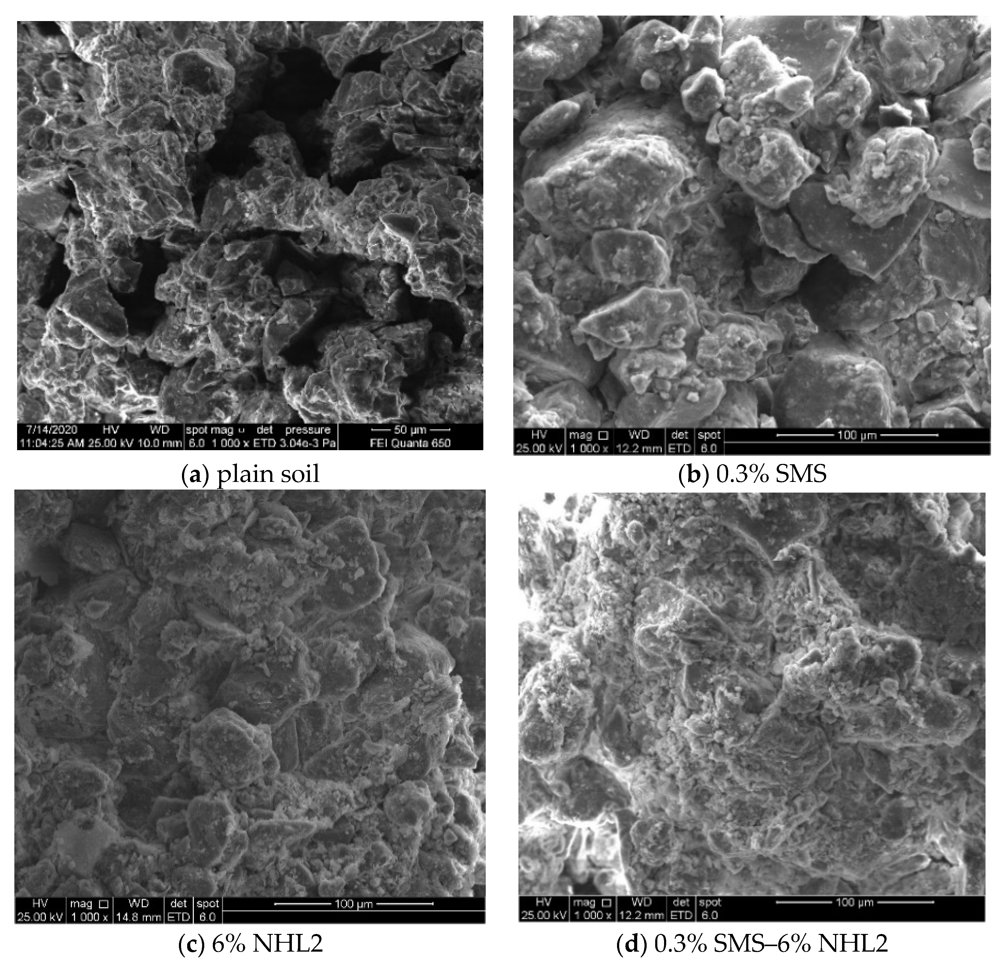 Coatings 12 00903 g012