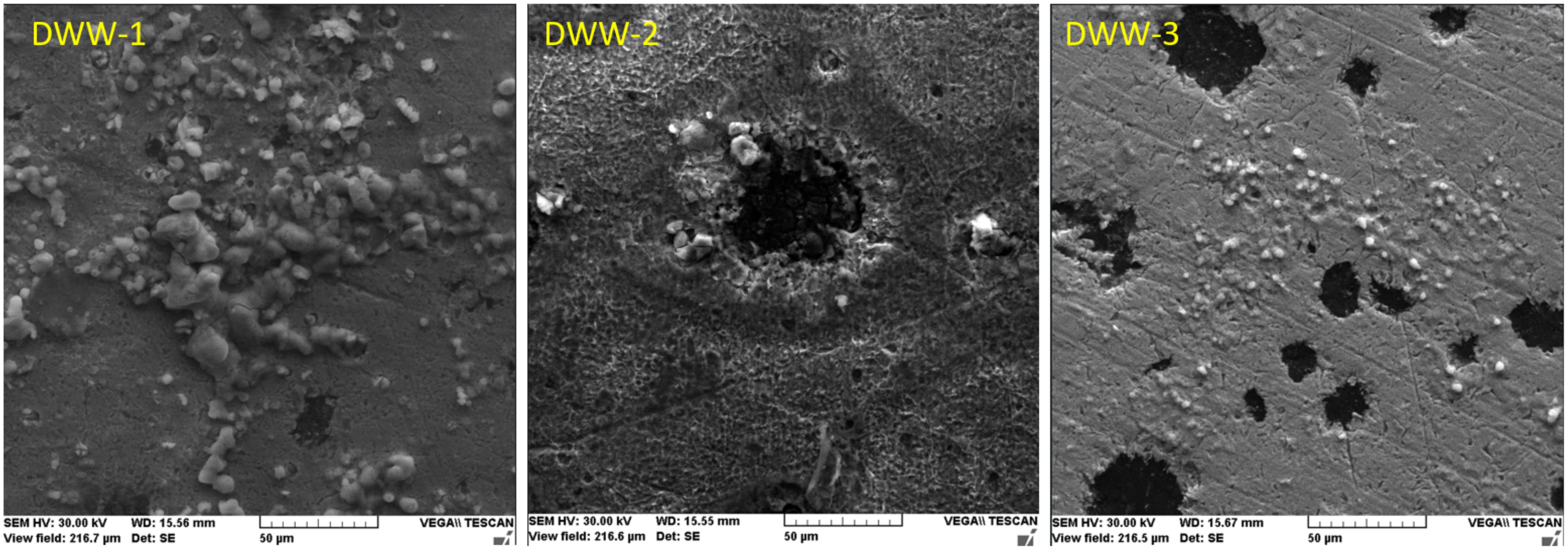 Coatings 12 00911 g006